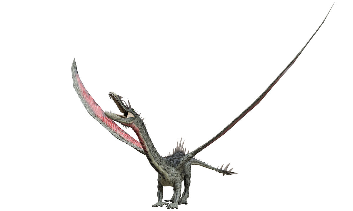 幻想龙孤立在白色3d插图