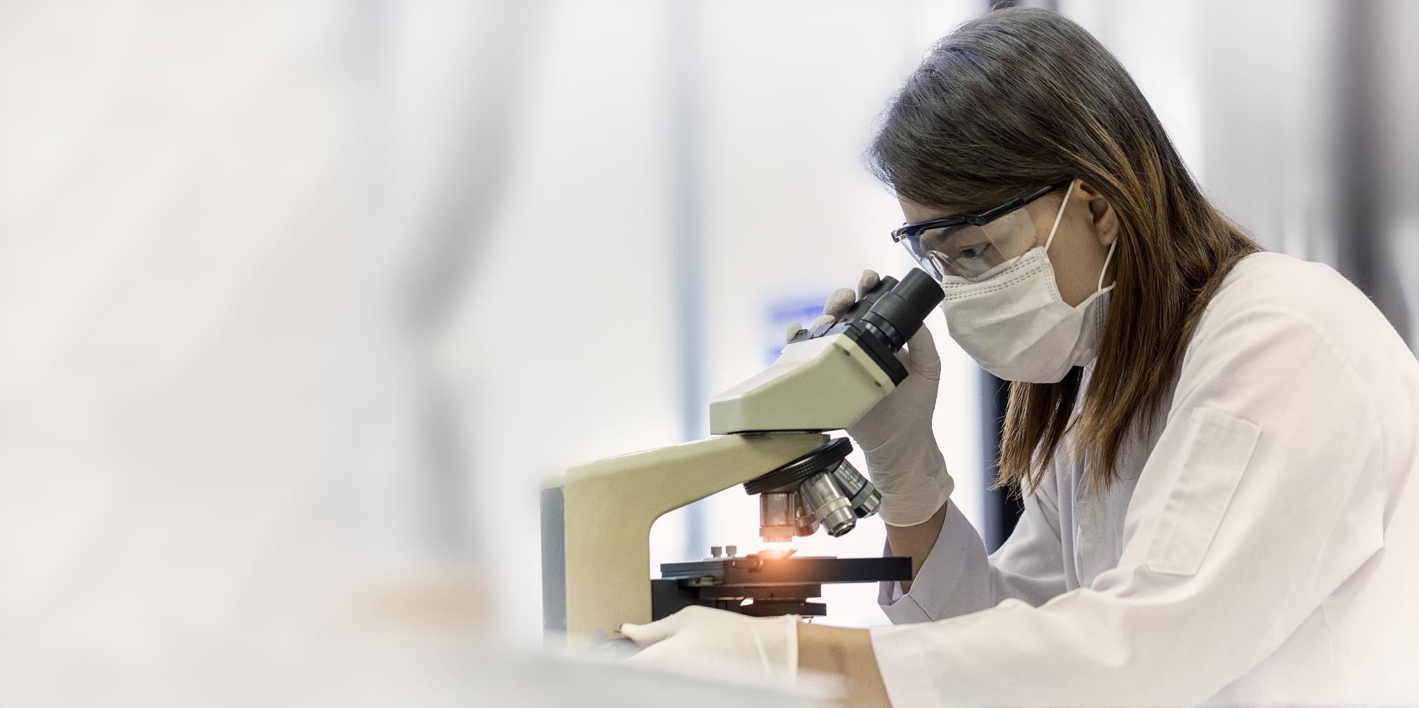 生物生态学和环境微生物学领域有影响力的期刊有哪些