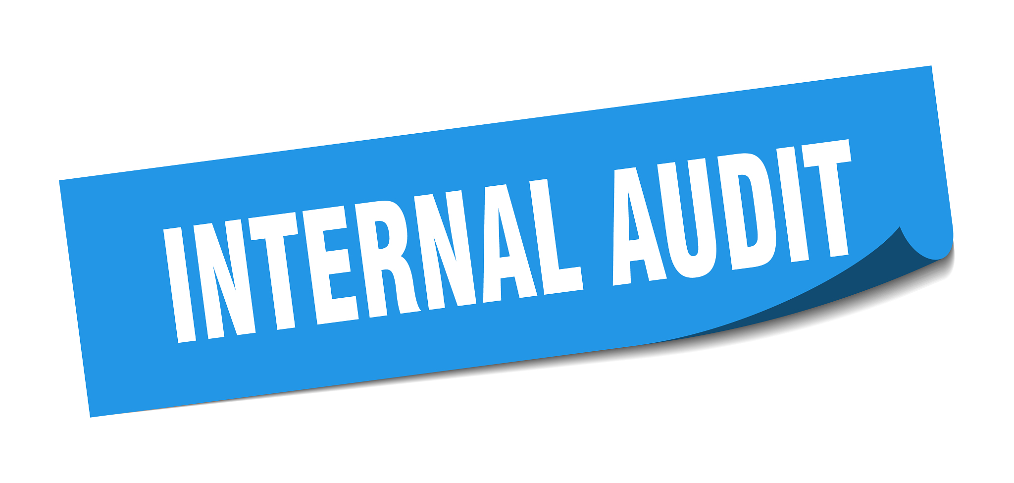 公司内部审计工作报告