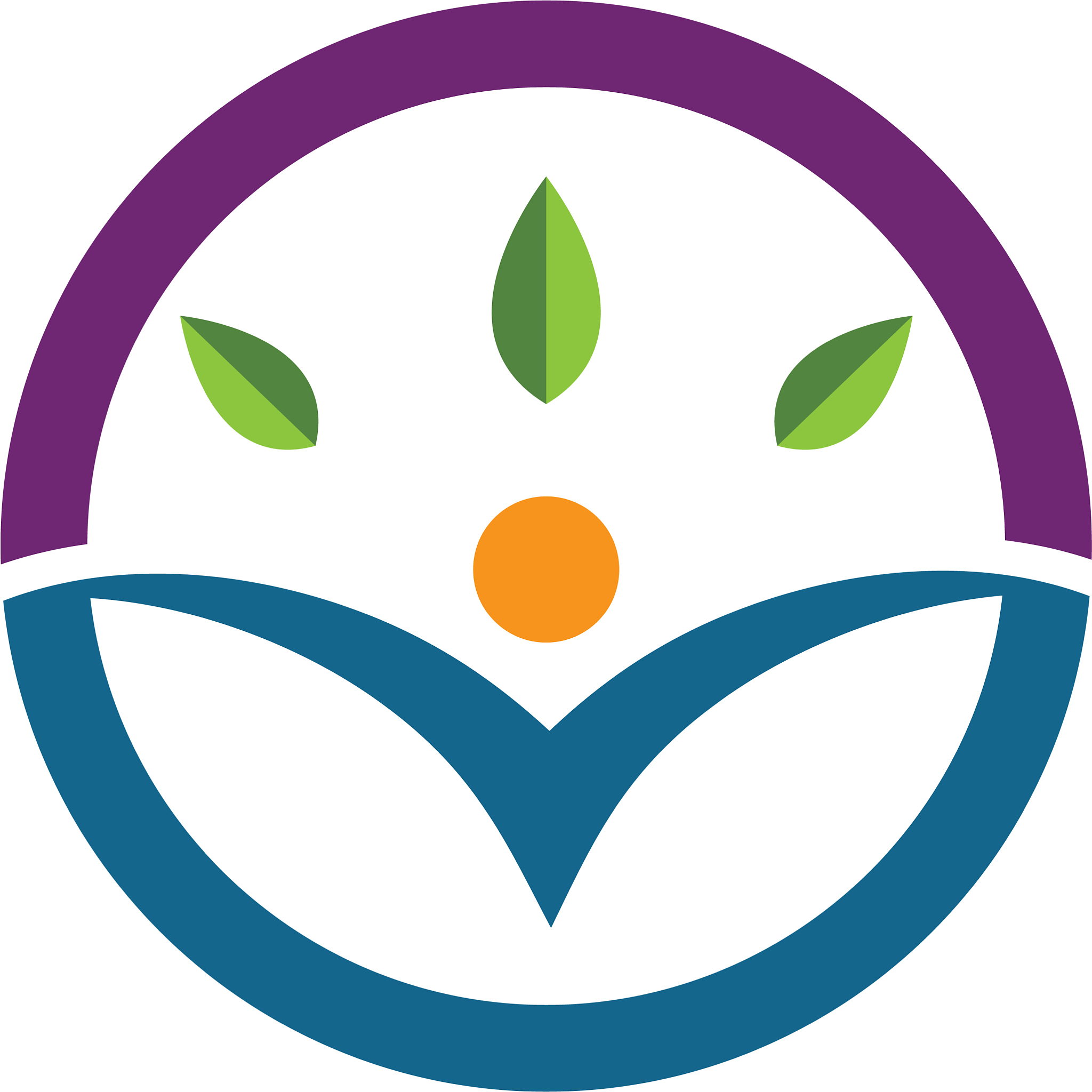 health icon
