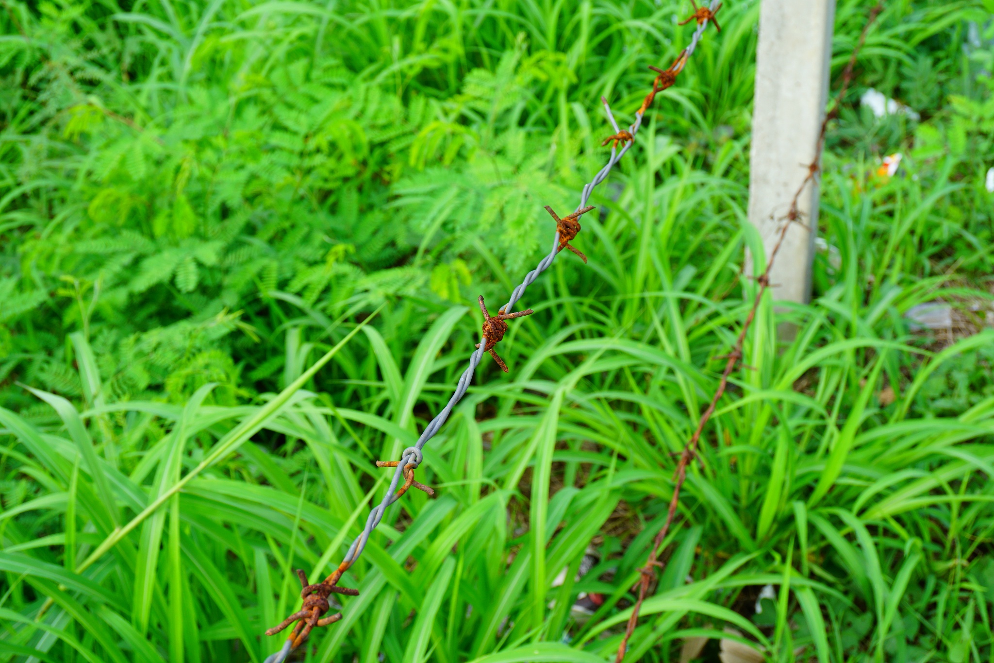 护网攻击队代表发言稿：守护网络安全，共建和谐网络环境