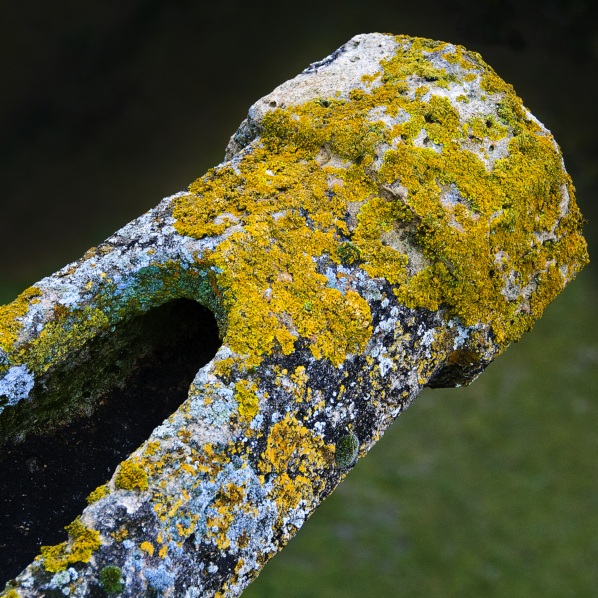 Lithromance: A Deep Love for Rocks and Minerals - Discover the Fascination