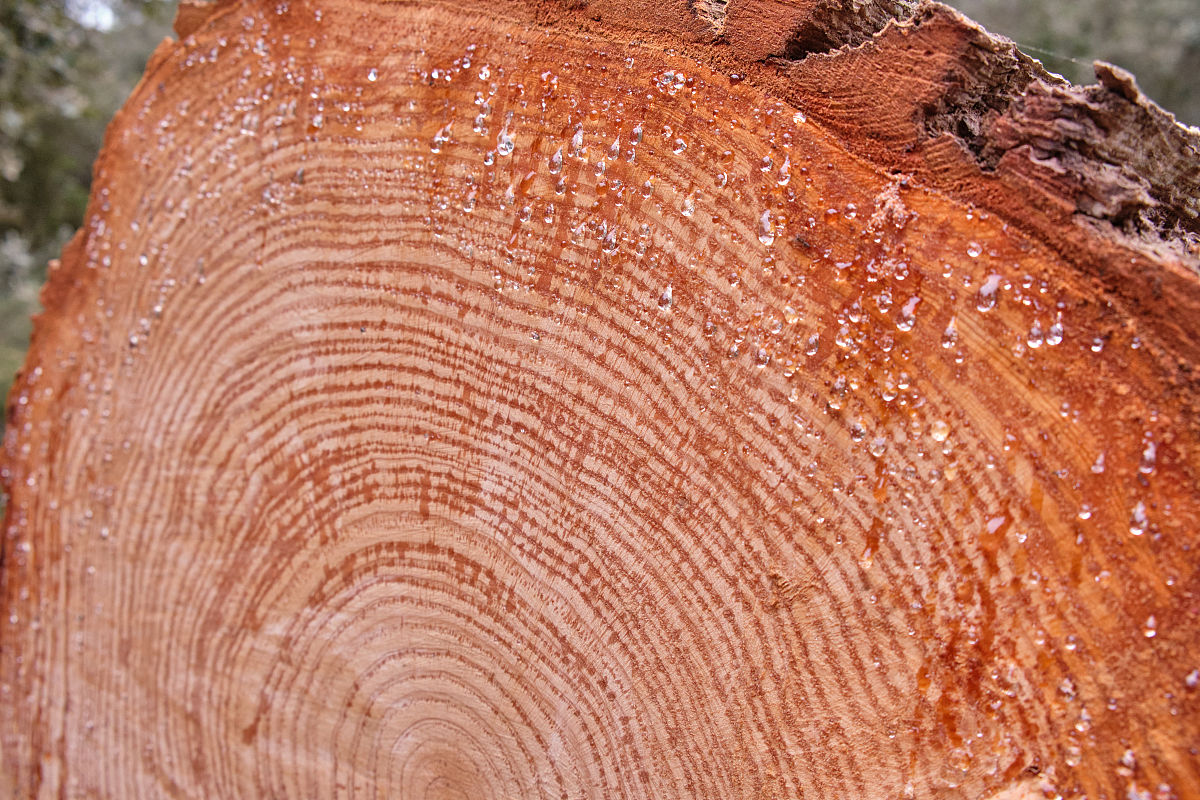 山西商务学校2023年好吗正规吗 好不好