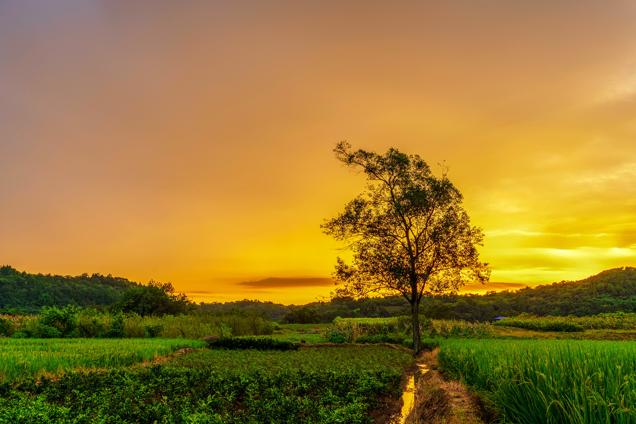 家乡美景！看到这个视频瞬间想家了！