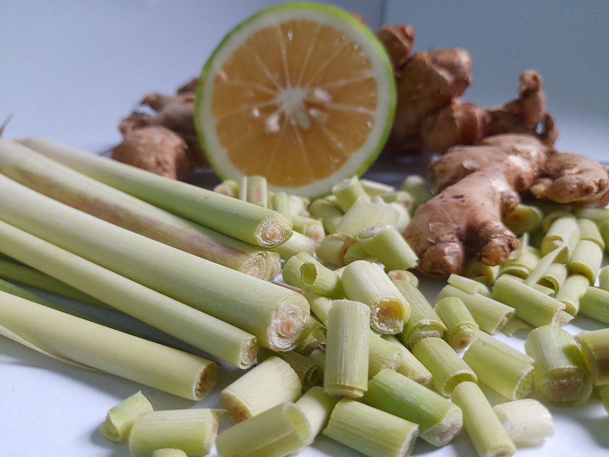 大葱壮阳：科学依据揭秘