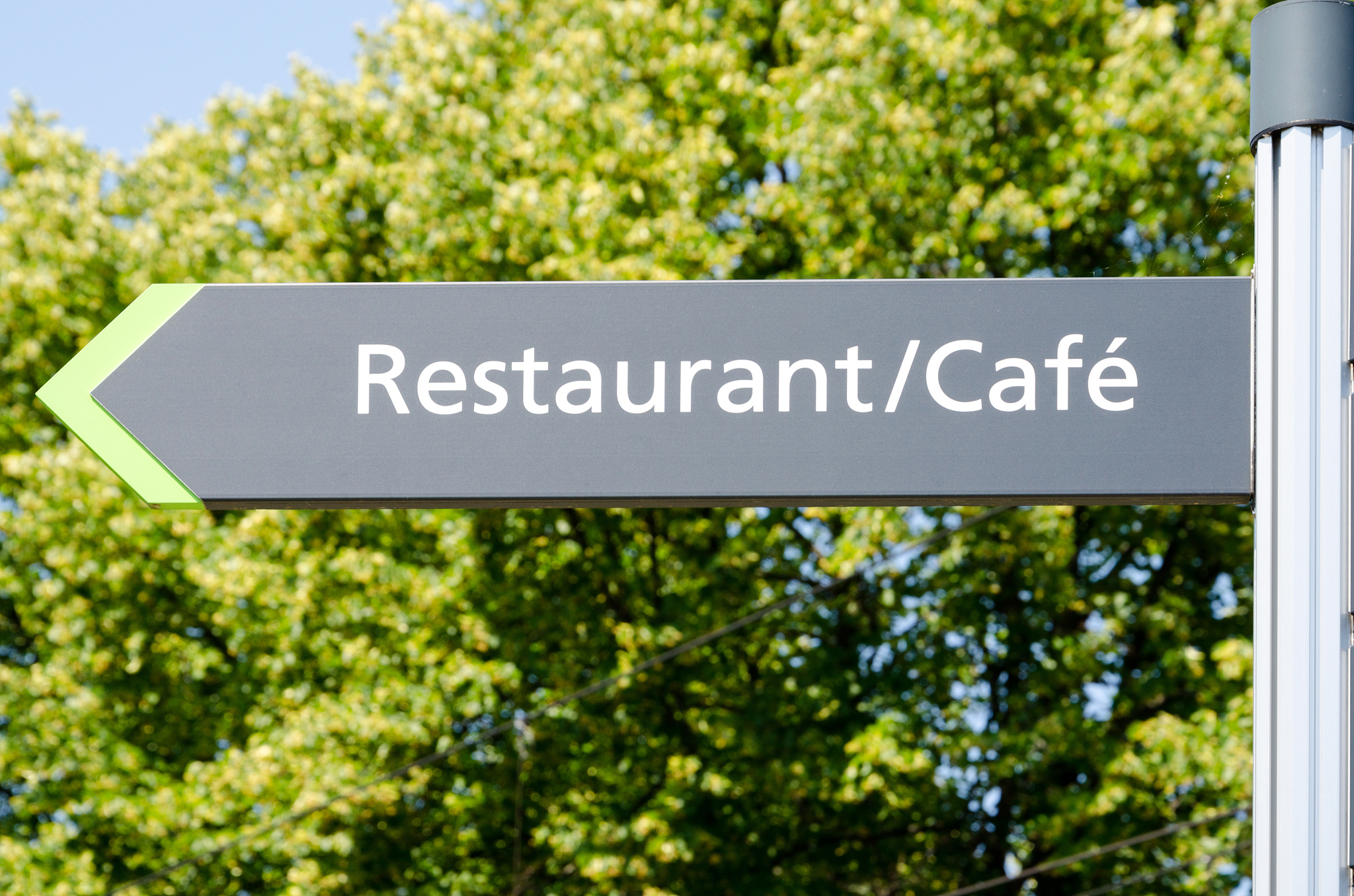 20 single words for spring forward or bounce forward faster and faster