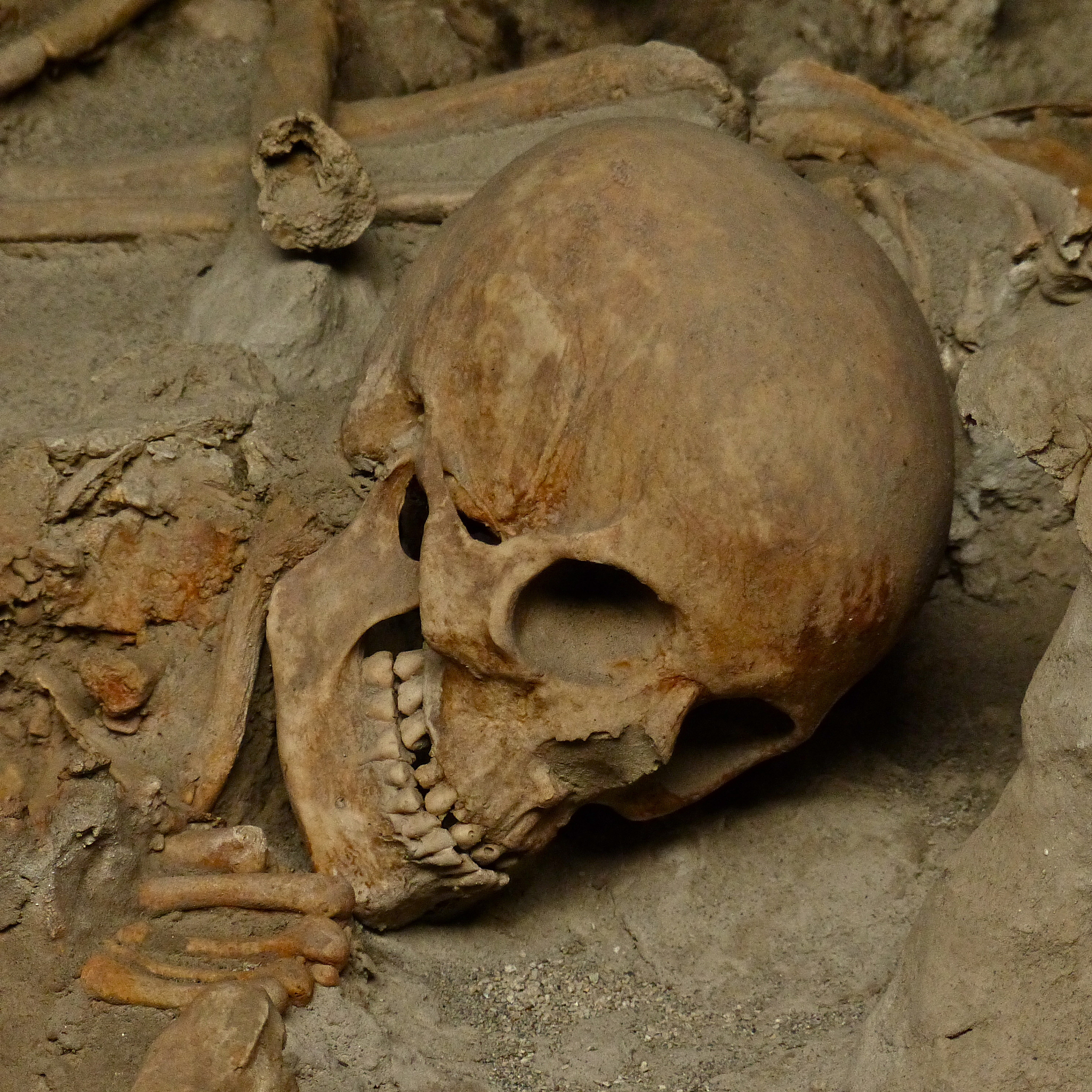 人类文明史上的著名冲突：原因与影响