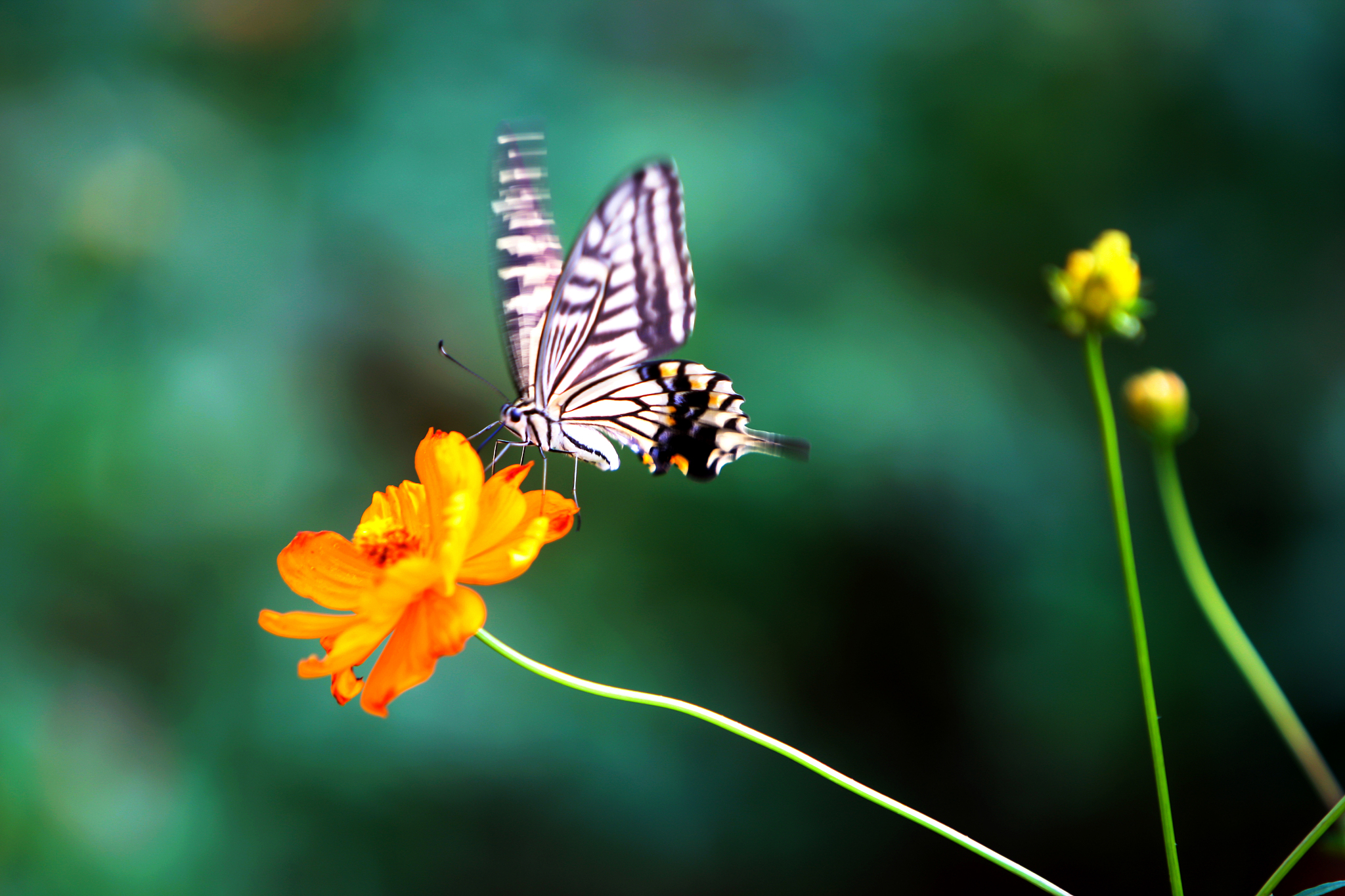 长沙环境保护职业技术学院视觉传达艺术设计专业怎么样