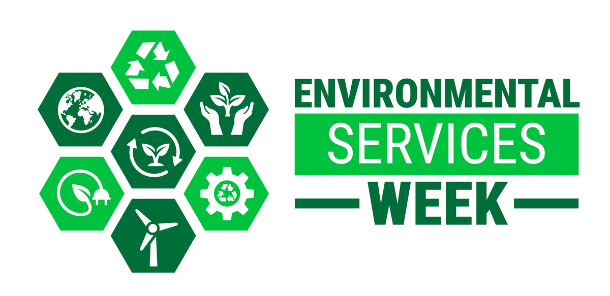 AB's Comprehensive Environmental Sustainability Plan: 10 Actionable Steps