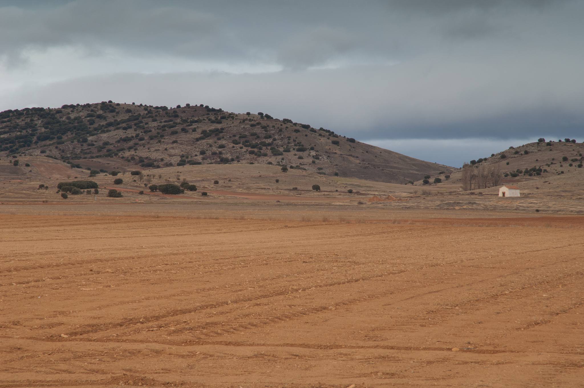 ploughed field in the gallocanta lagoon natural reserve.