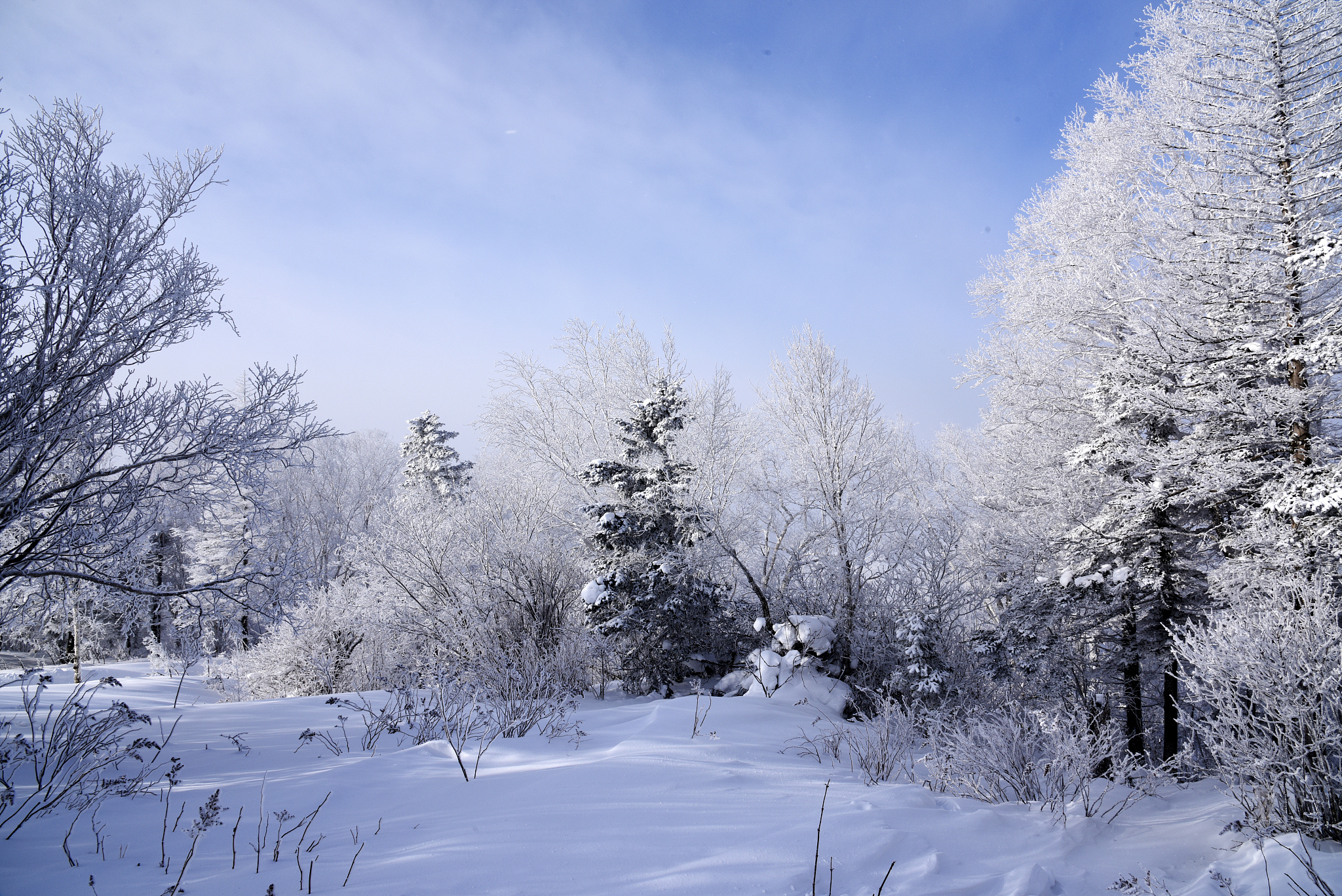 黑龙江林业职业技术学院新能源汽车技术专业怎么样？好学吗？