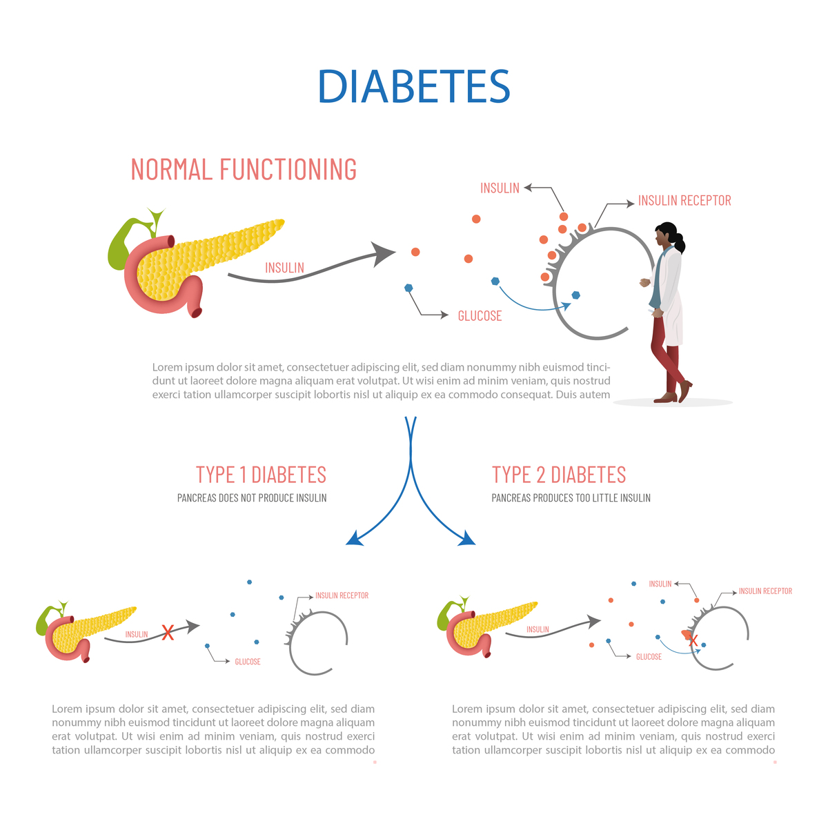 葡萄糖摄取实验