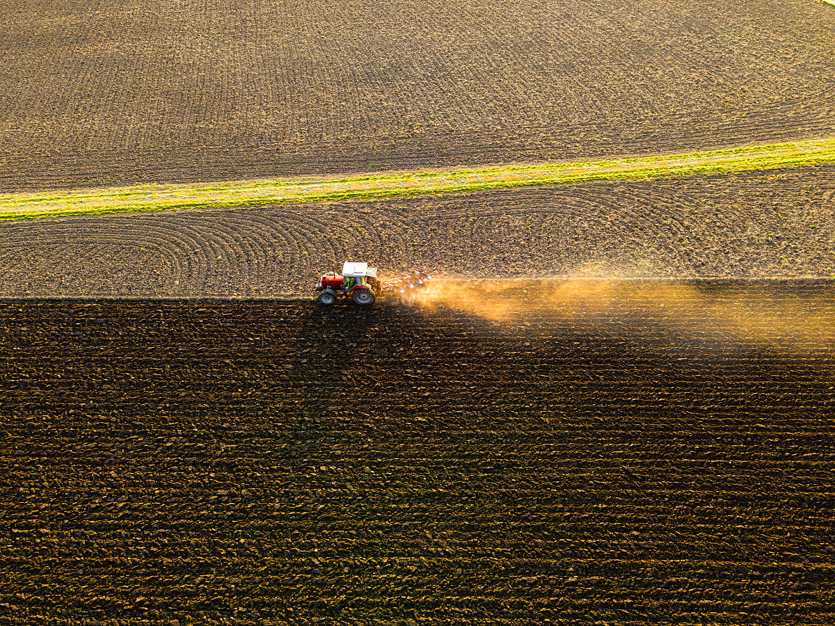 2022年云南曲靖农业学校美术绘画专业介绍 - 艺术与农业的完美融合