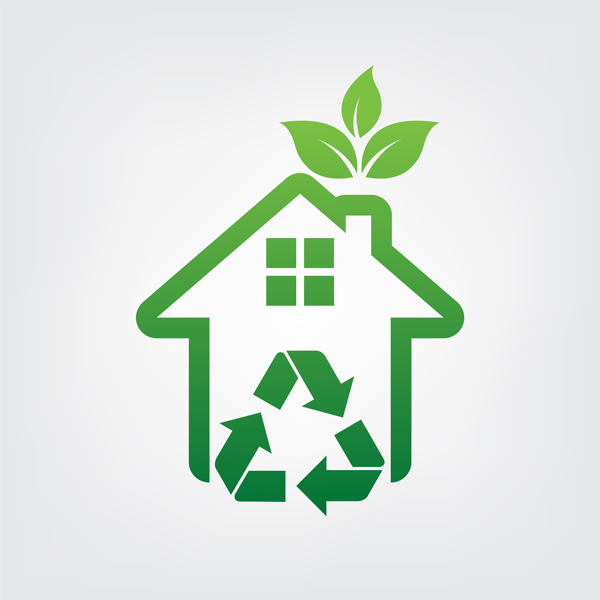 eco house
