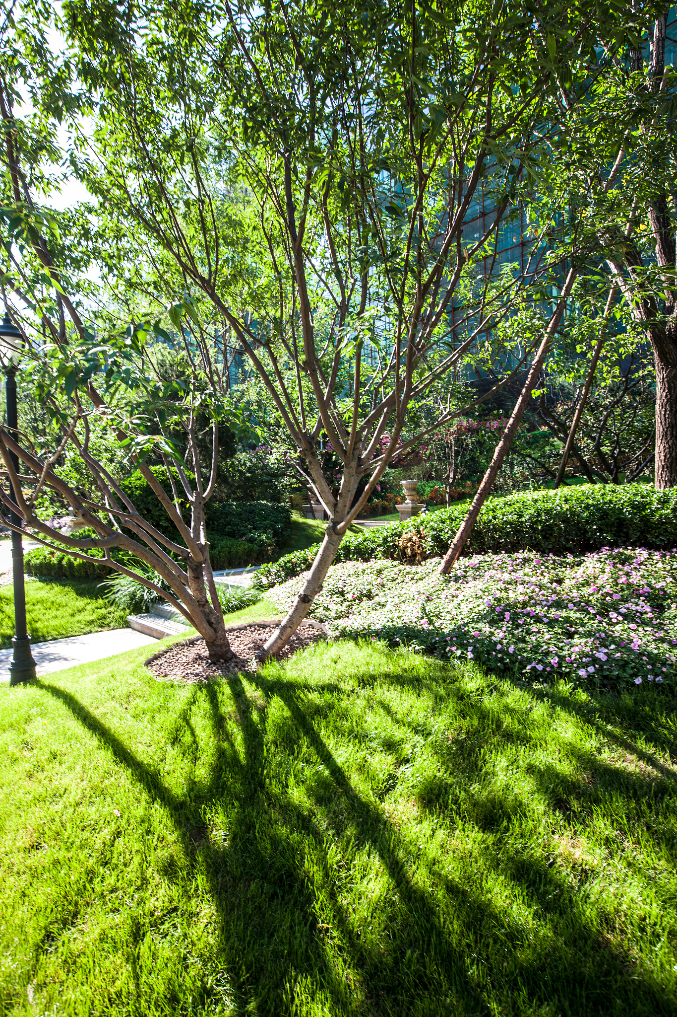 园林绿化核心课程：培养专业人才，打造美丽城市