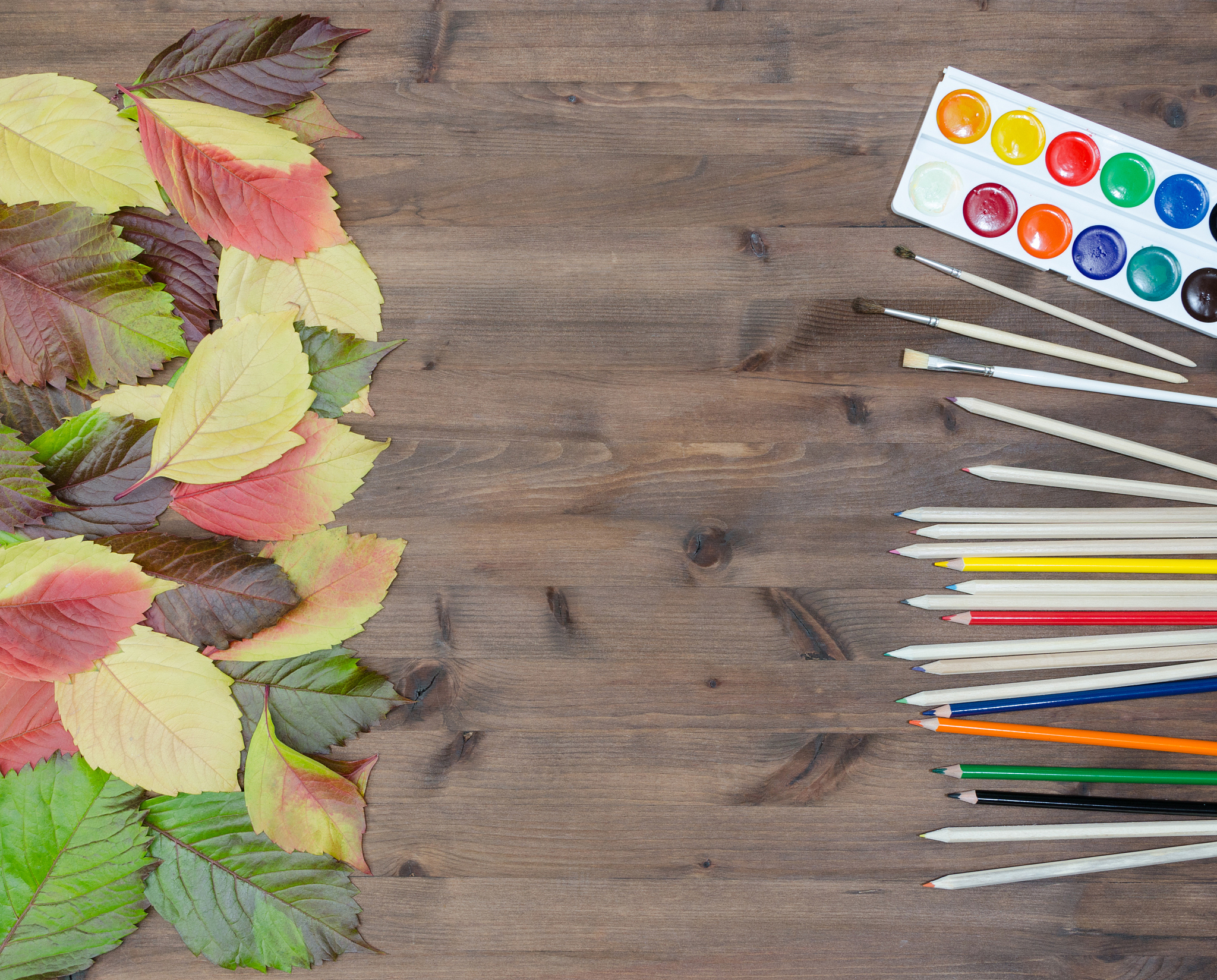 autumn leaves paints pencils and brushes on wooden background