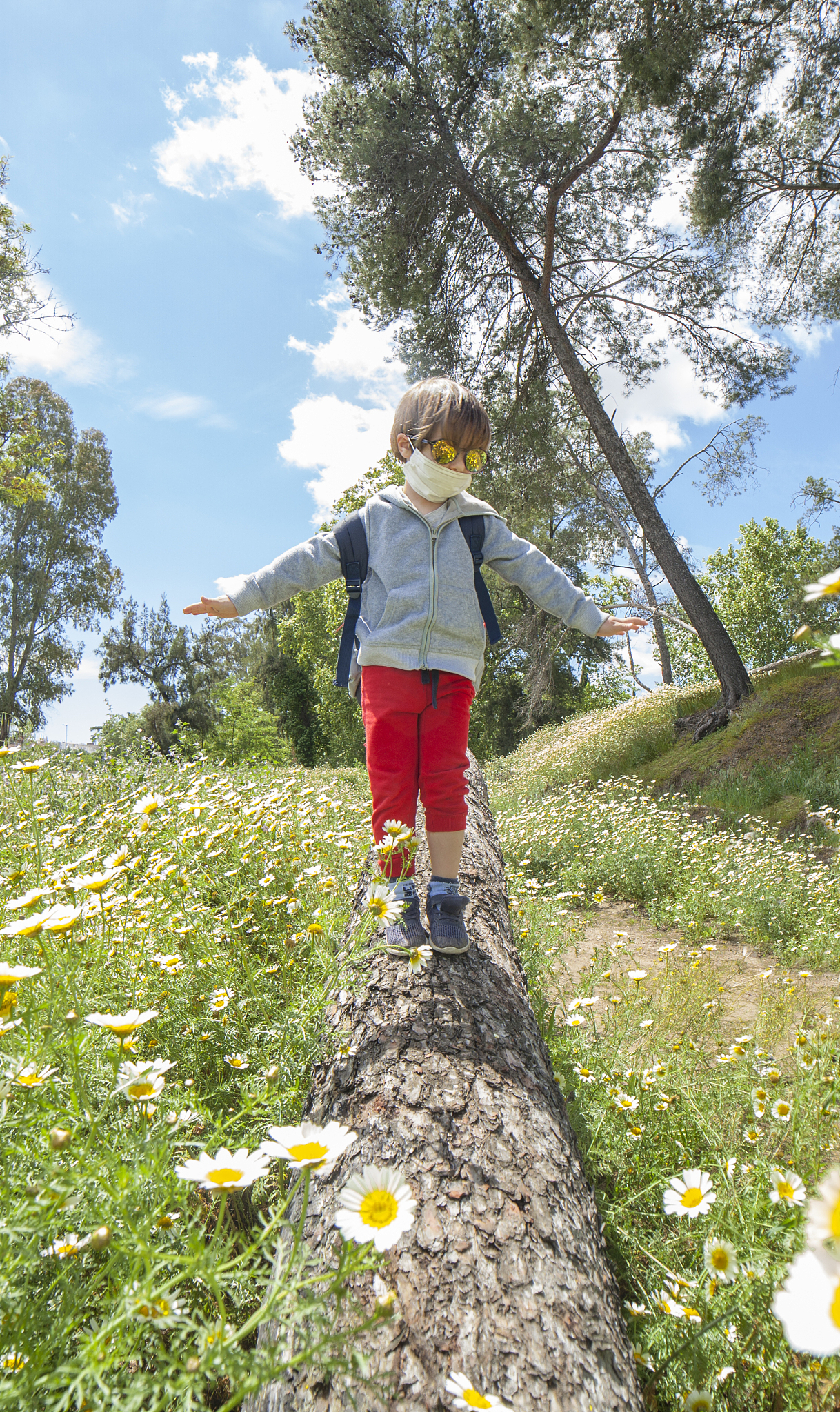 little boy walking on a log in the middle of daisy field