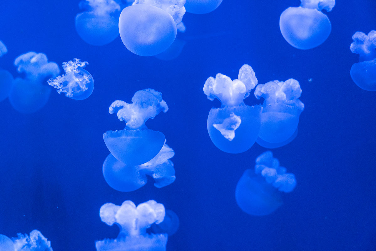 海上高压直流输电换流站距离：影响因素和设计考量