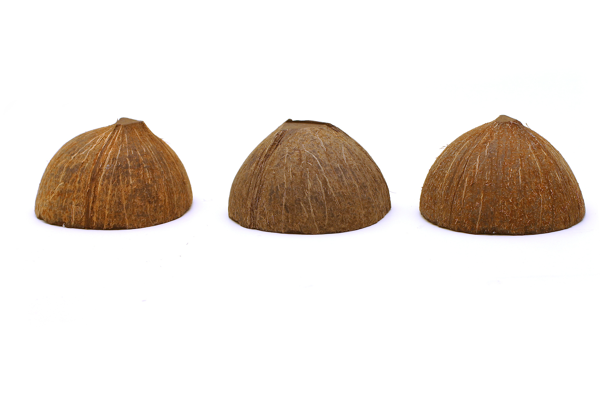 石家庄农业学校畜牧兽医专业：课程、招生要求及未来发展