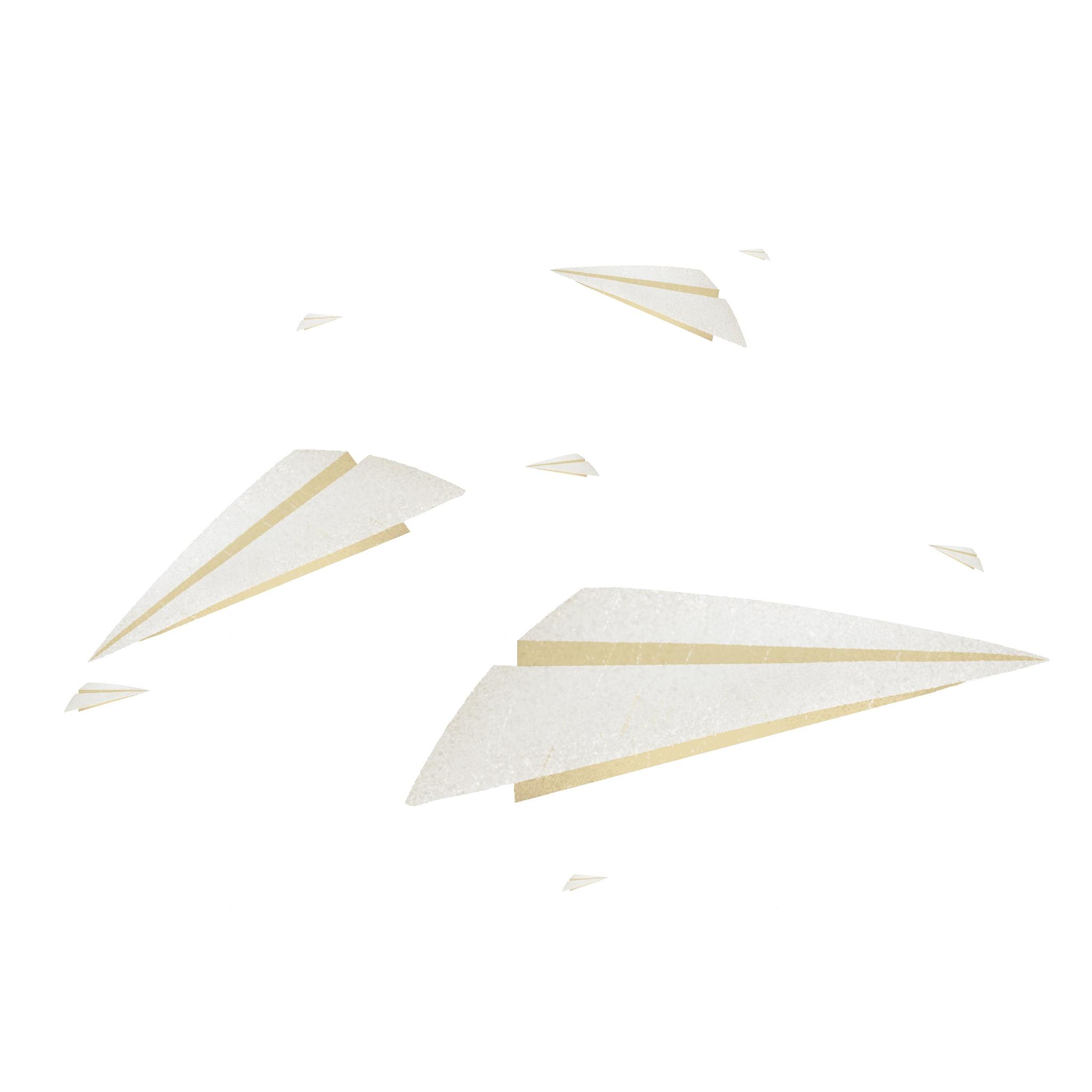 将评论换一种有趣的说法：如果我没看错的话这应该是空中之王纸飞机吧