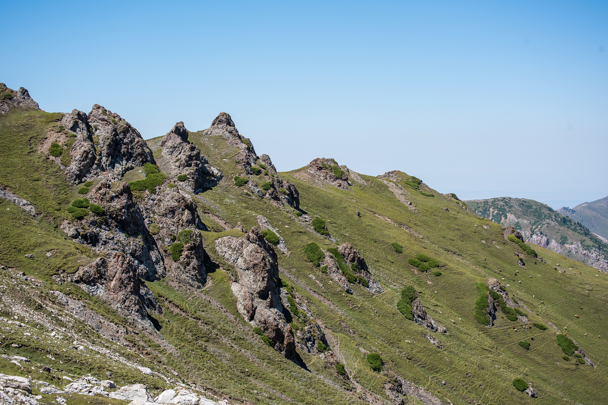 兴隆山植被垂直地带性分布分析：从裸岩到阔叶林