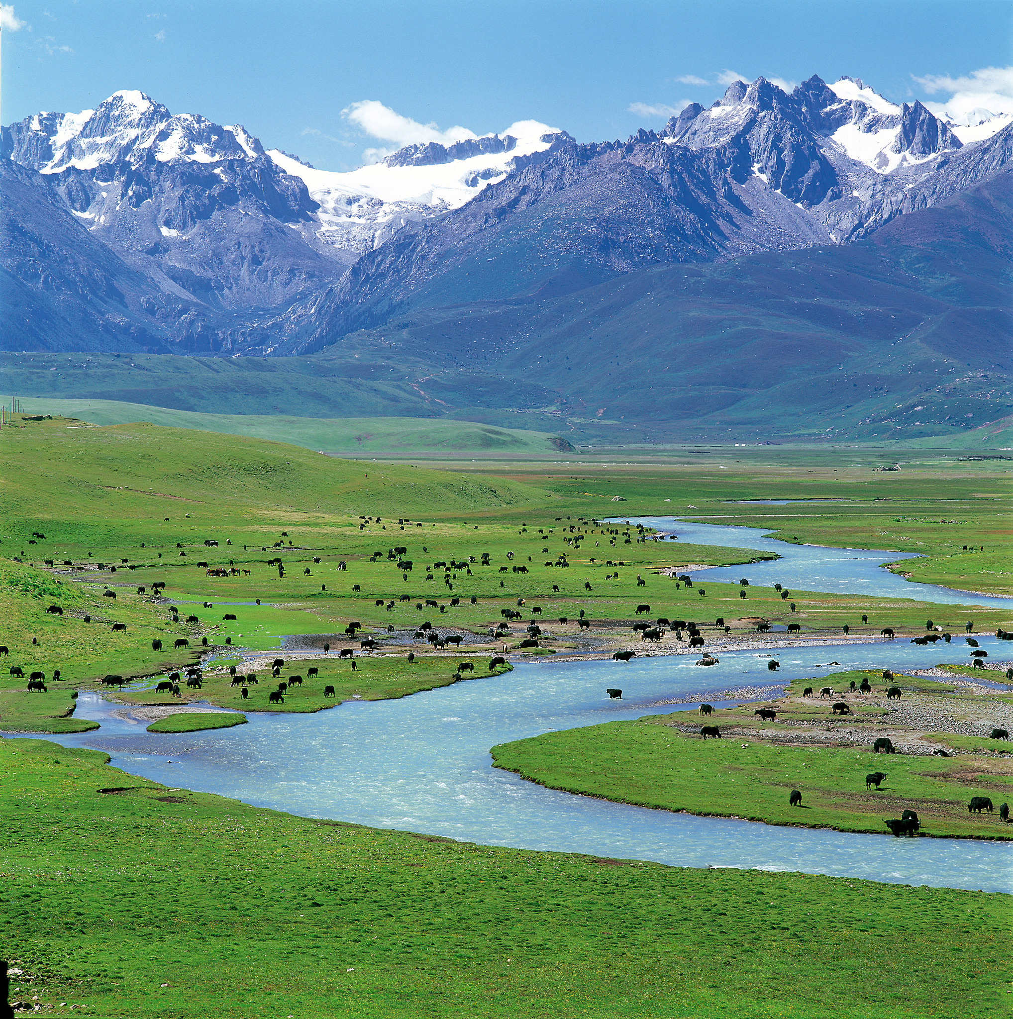 四川最好的铁道车辆专业学校排名及推荐