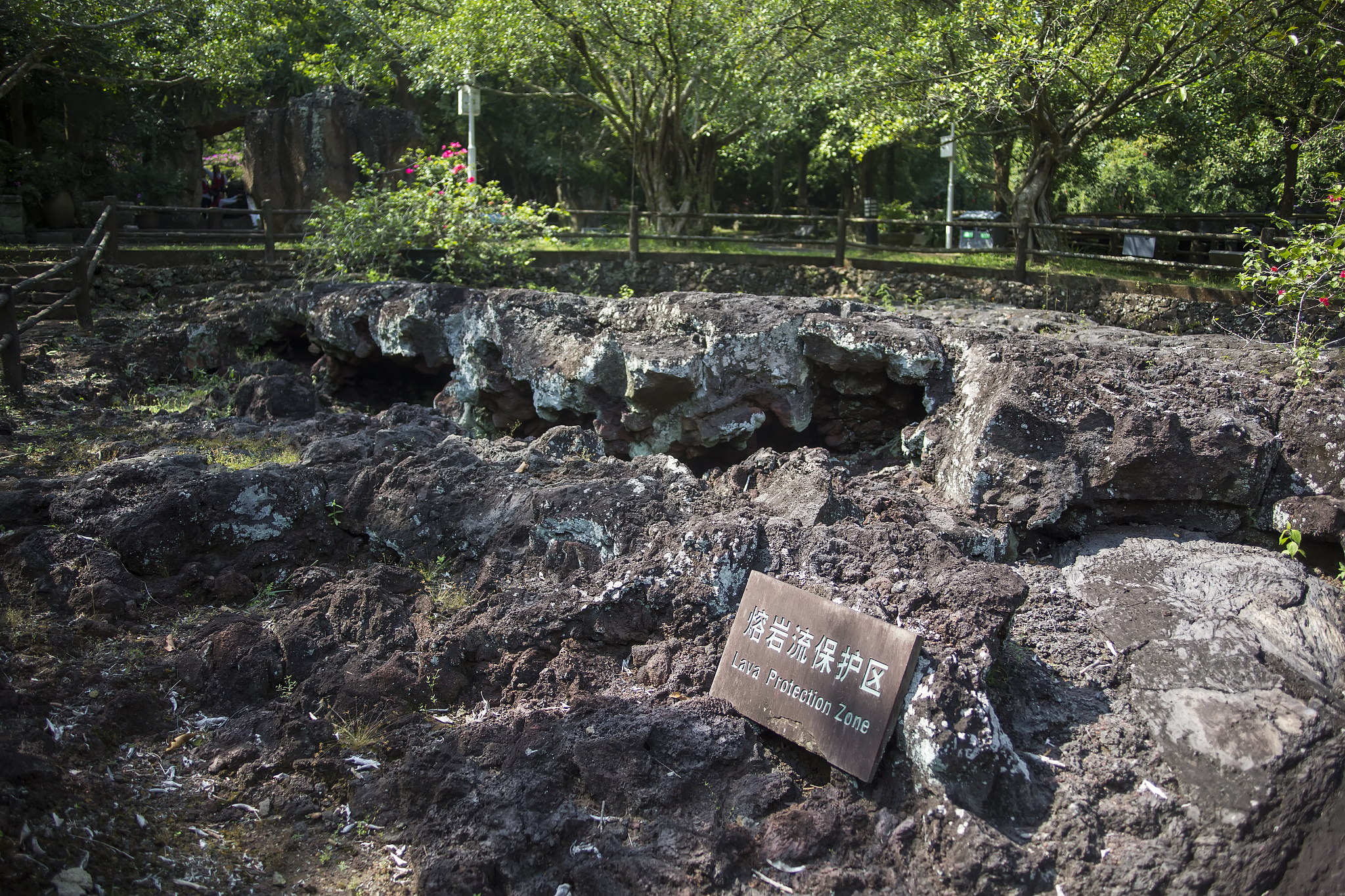 海口火山口地质公园有化石展览吗？
