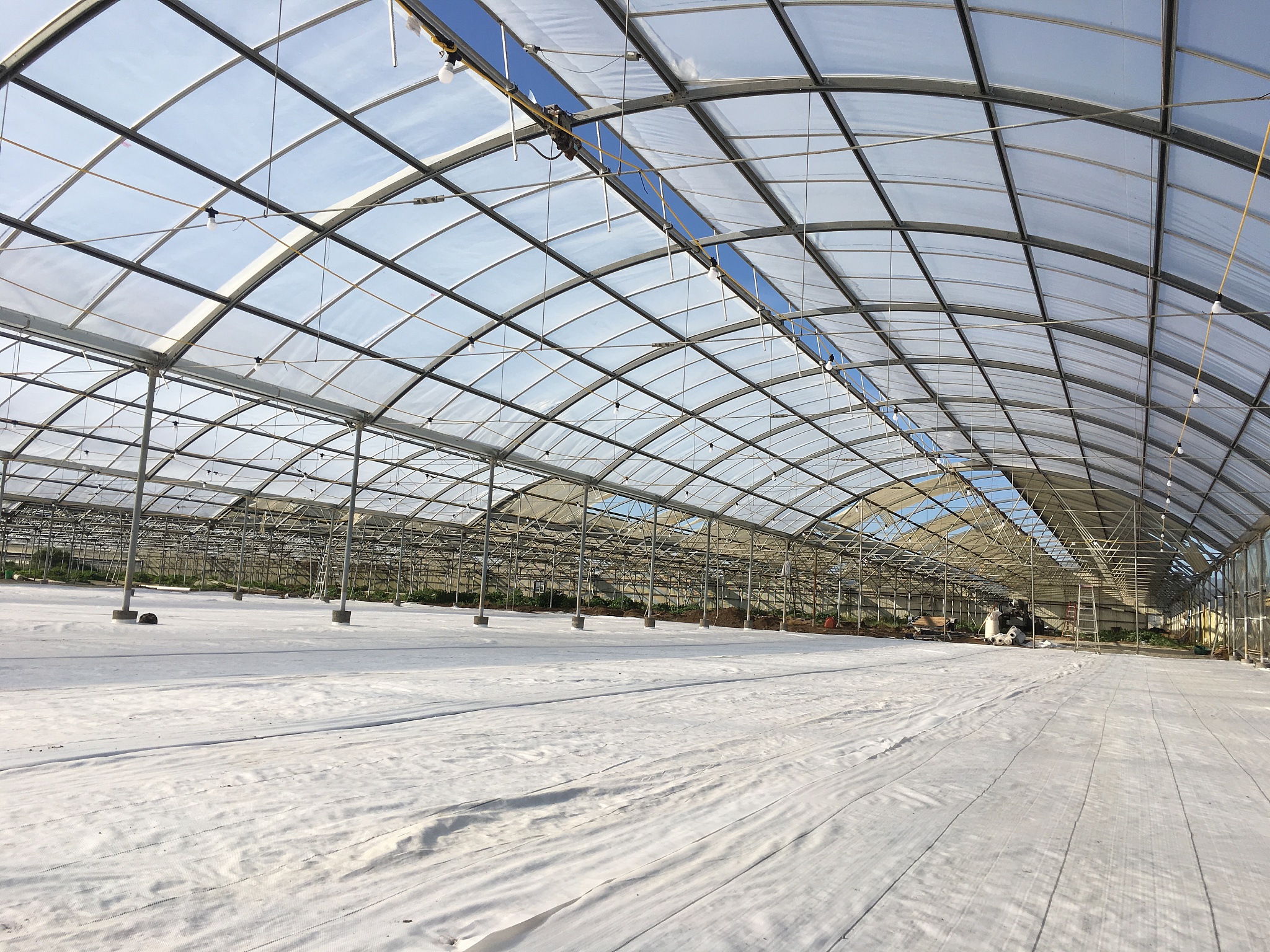 安徽阜阳农业学校2023年有哪些专业