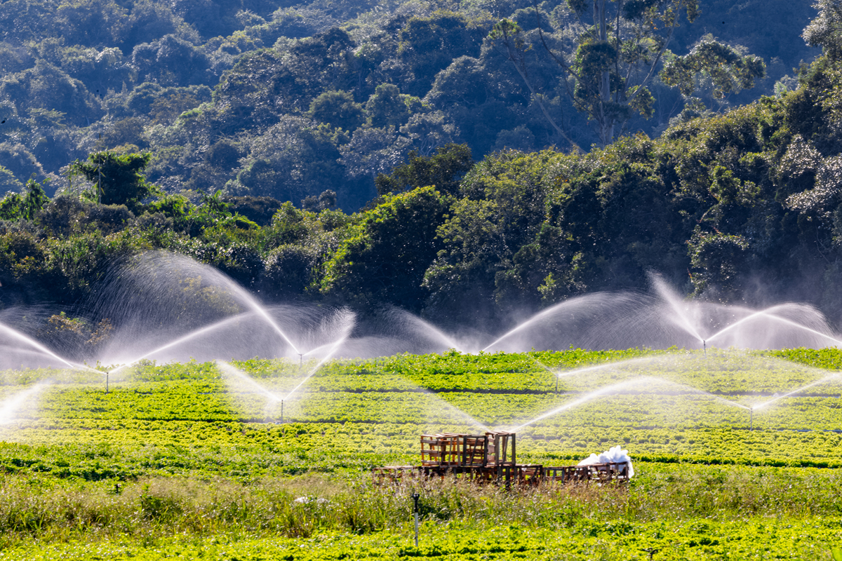 小型水库和山地灌溉：提高农作物产量，实现节水灌溉