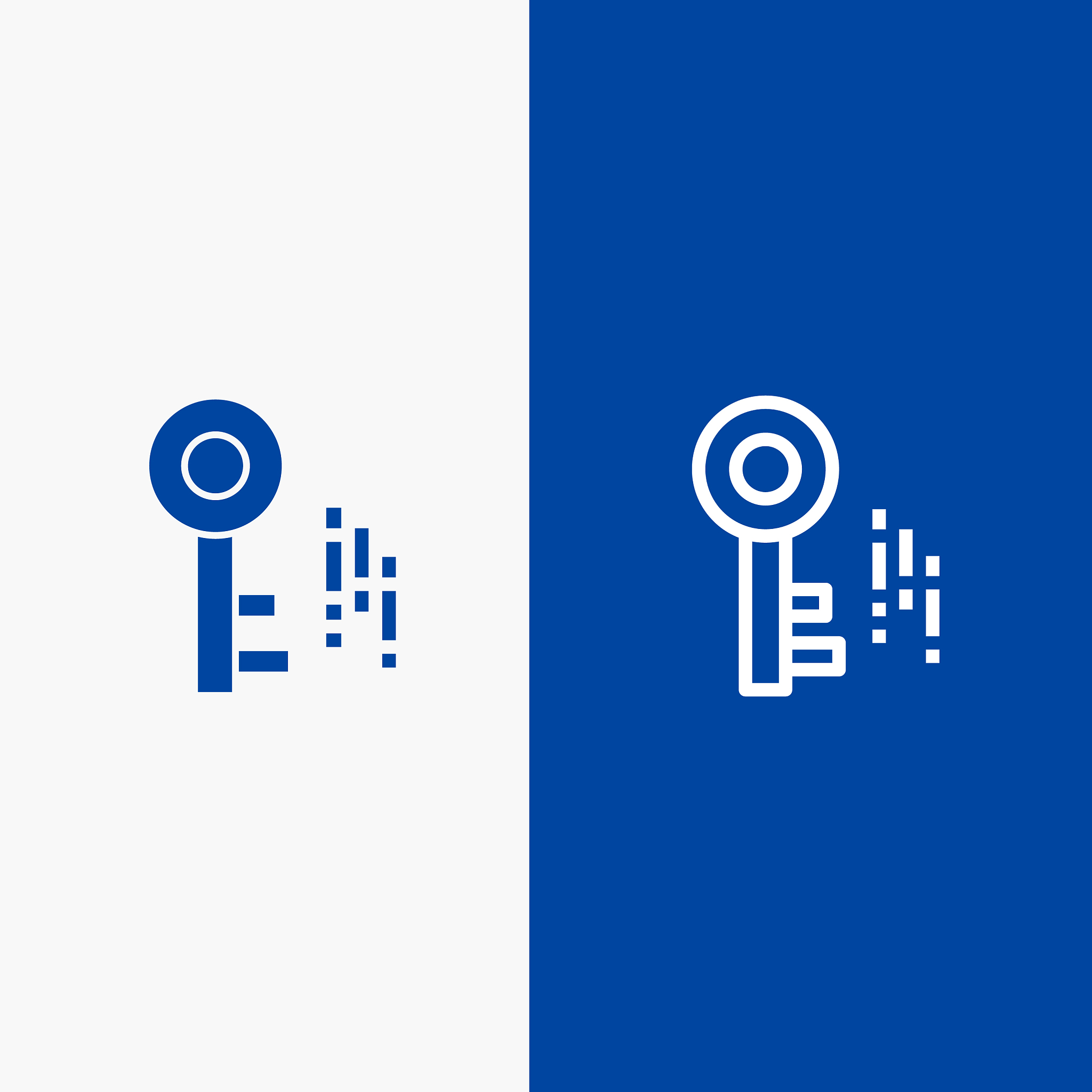 internet security key line and glyph solid icon