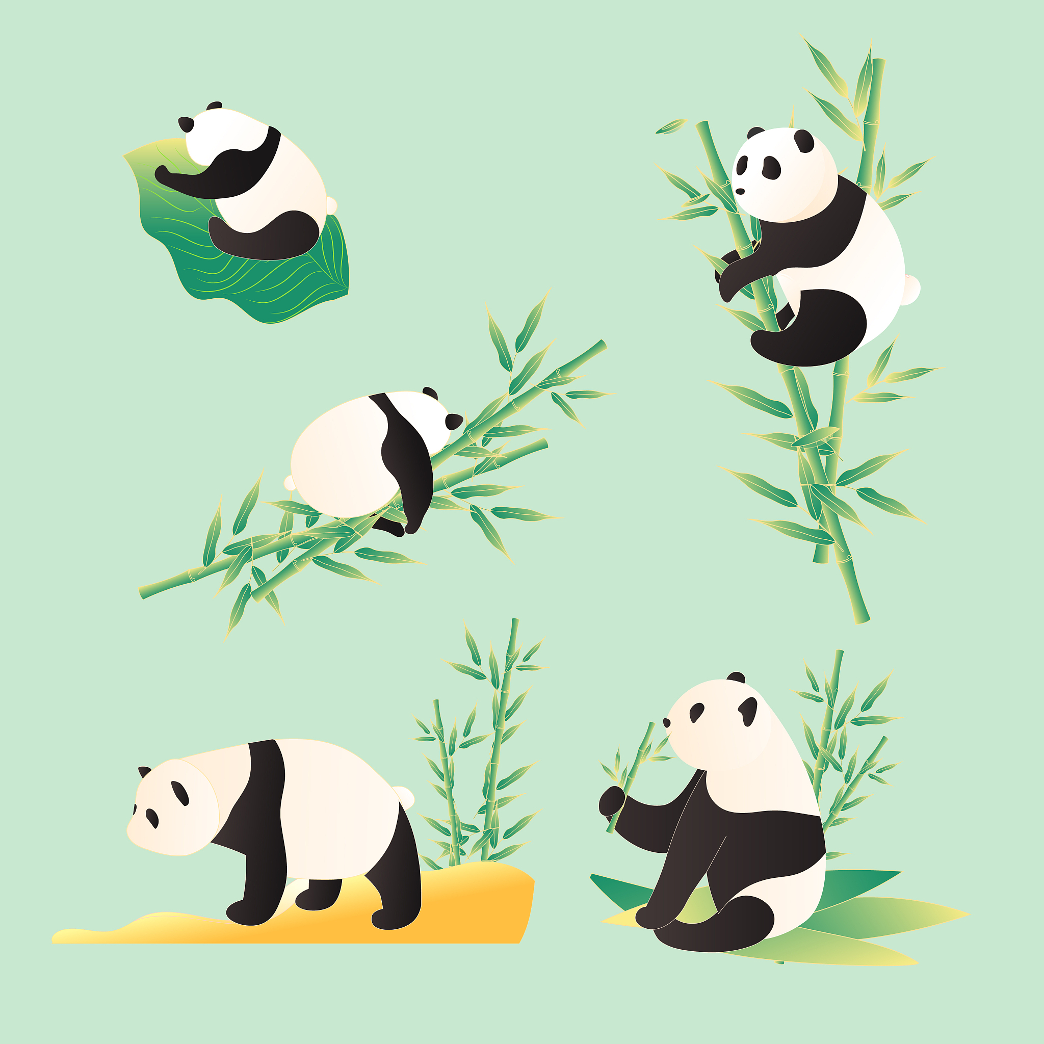 四川平面设计与动漫专业院校推荐 | 培养你的创意与技能