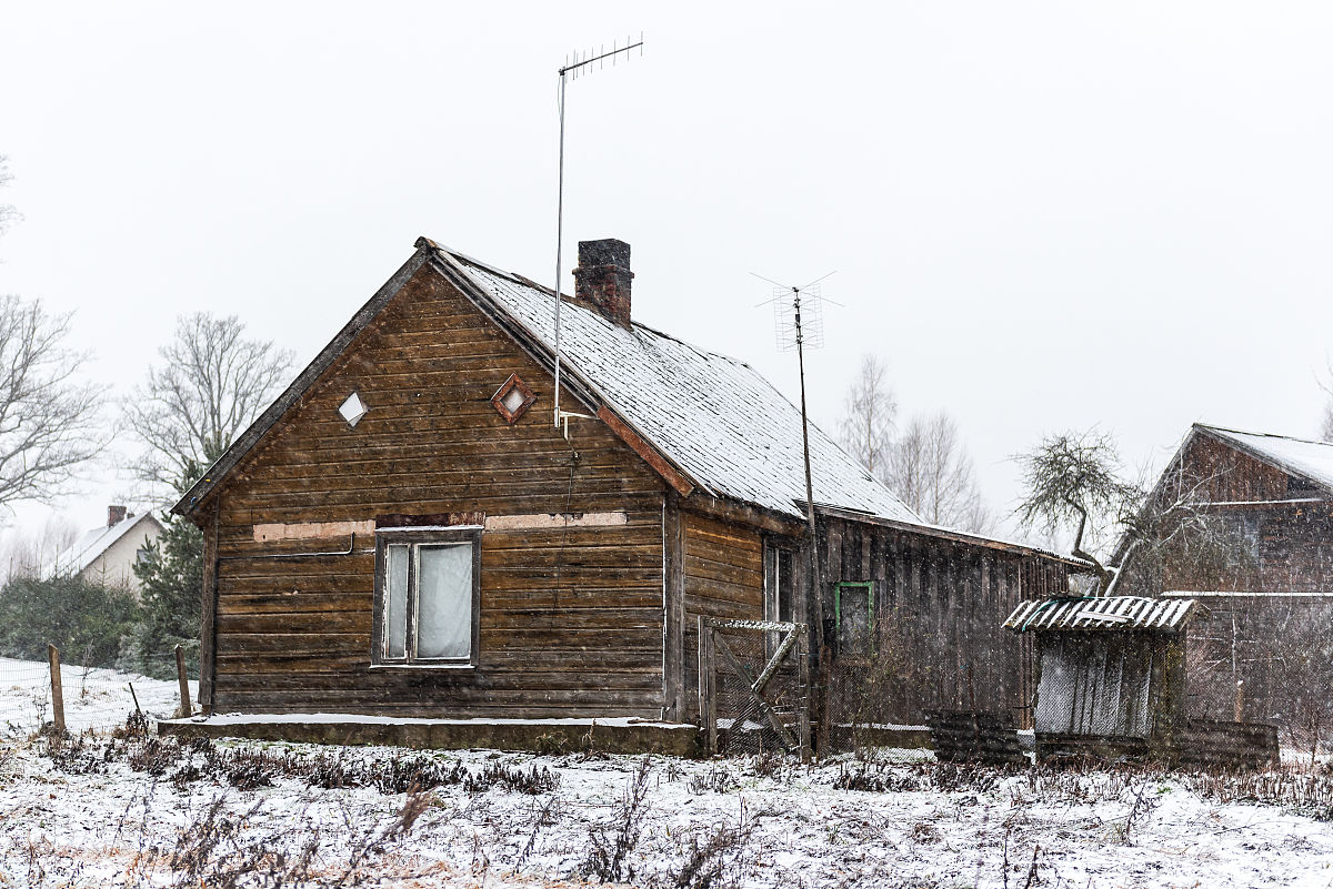 Best Warm Houses for Small Pets: Hamster, Guinea Pig, Squirrel Reviews