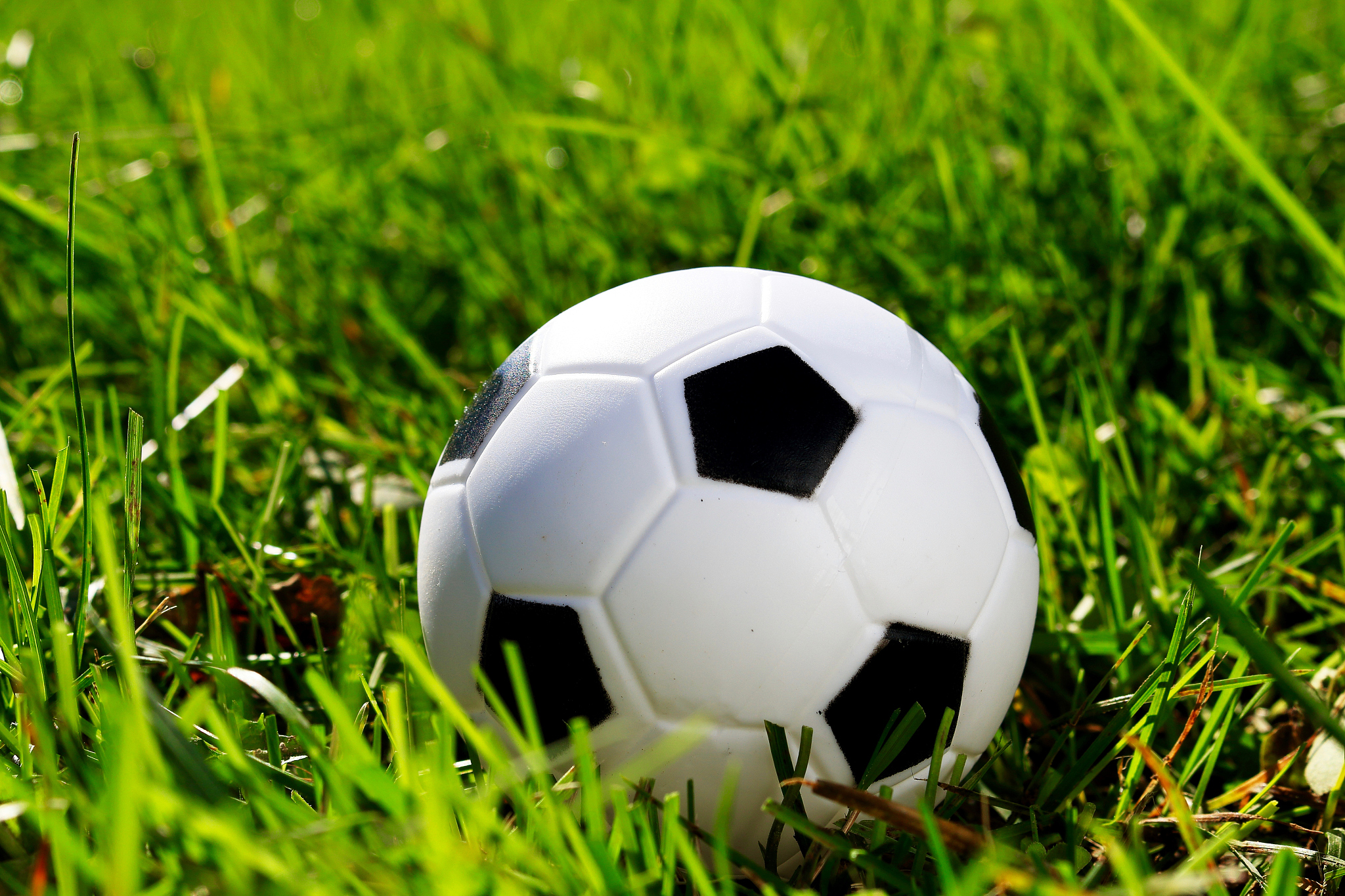 soccer