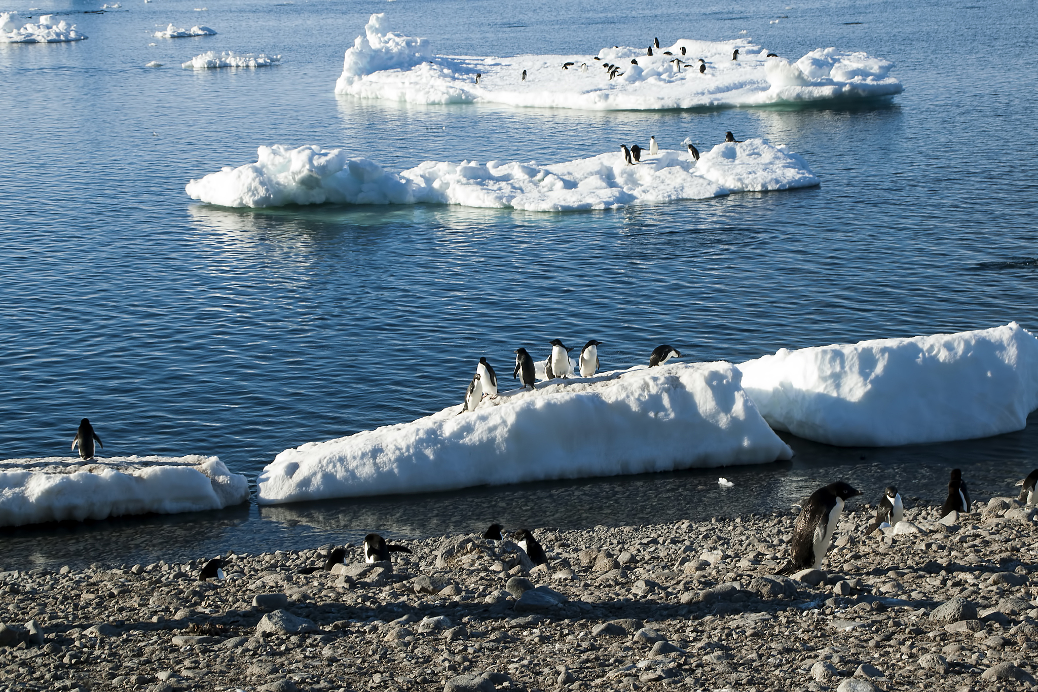 南极禁飞：保护地球最后净土