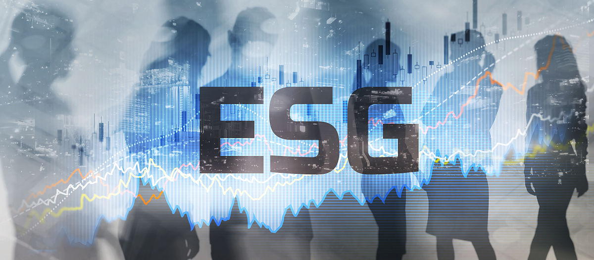 深圳市工程项目背景资料：了解项目信息及相关政策