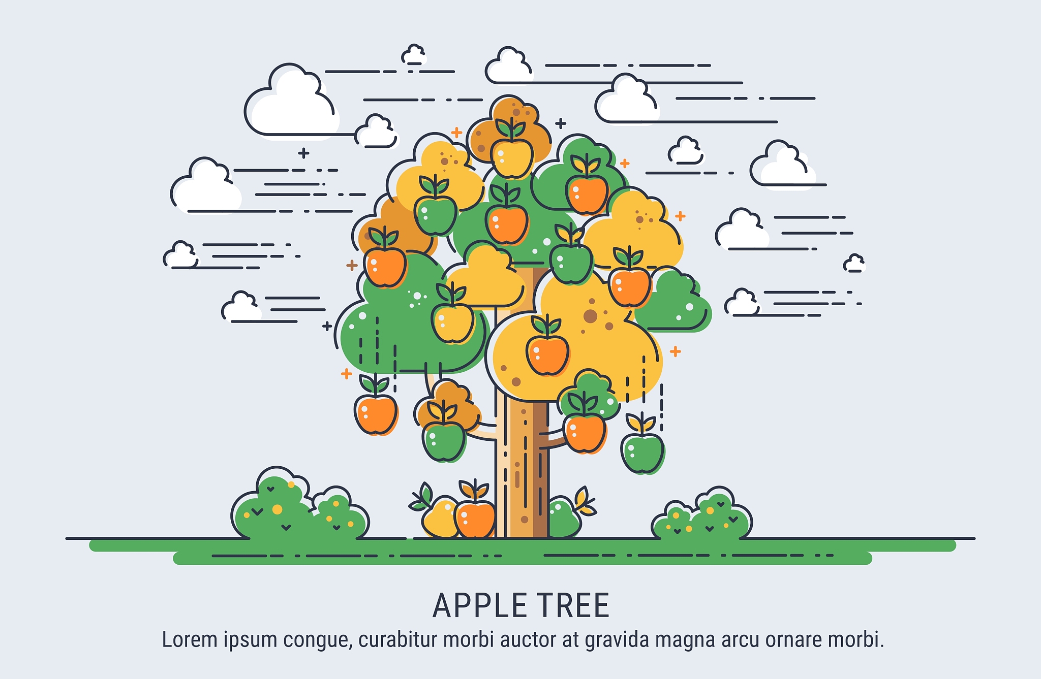 apple tree