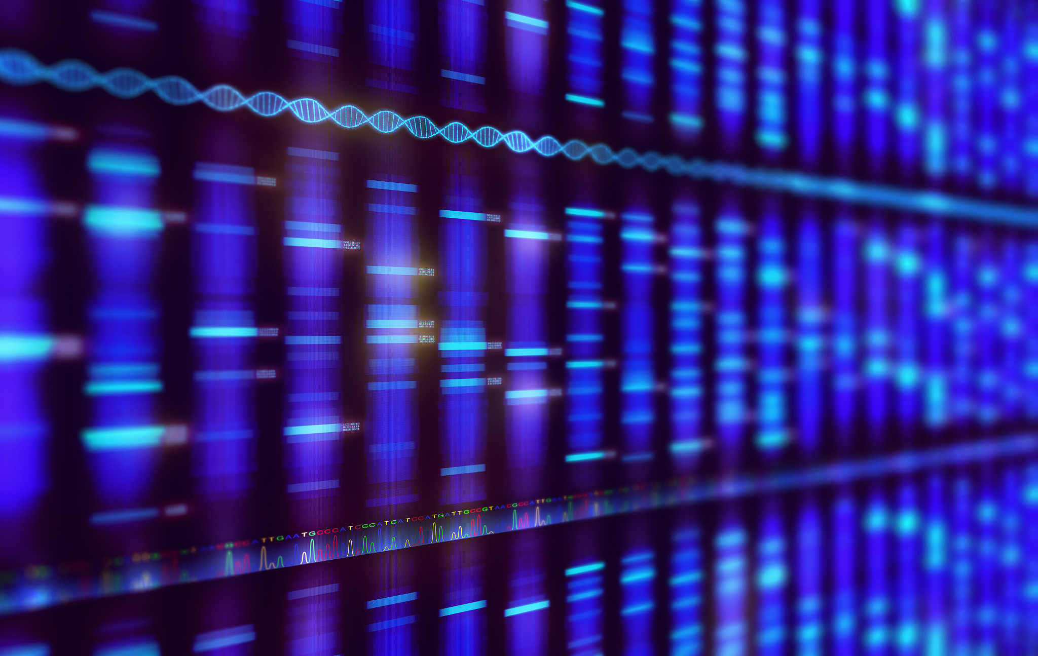 细胞增殖：DNA、染色体、染色单体之间的关系