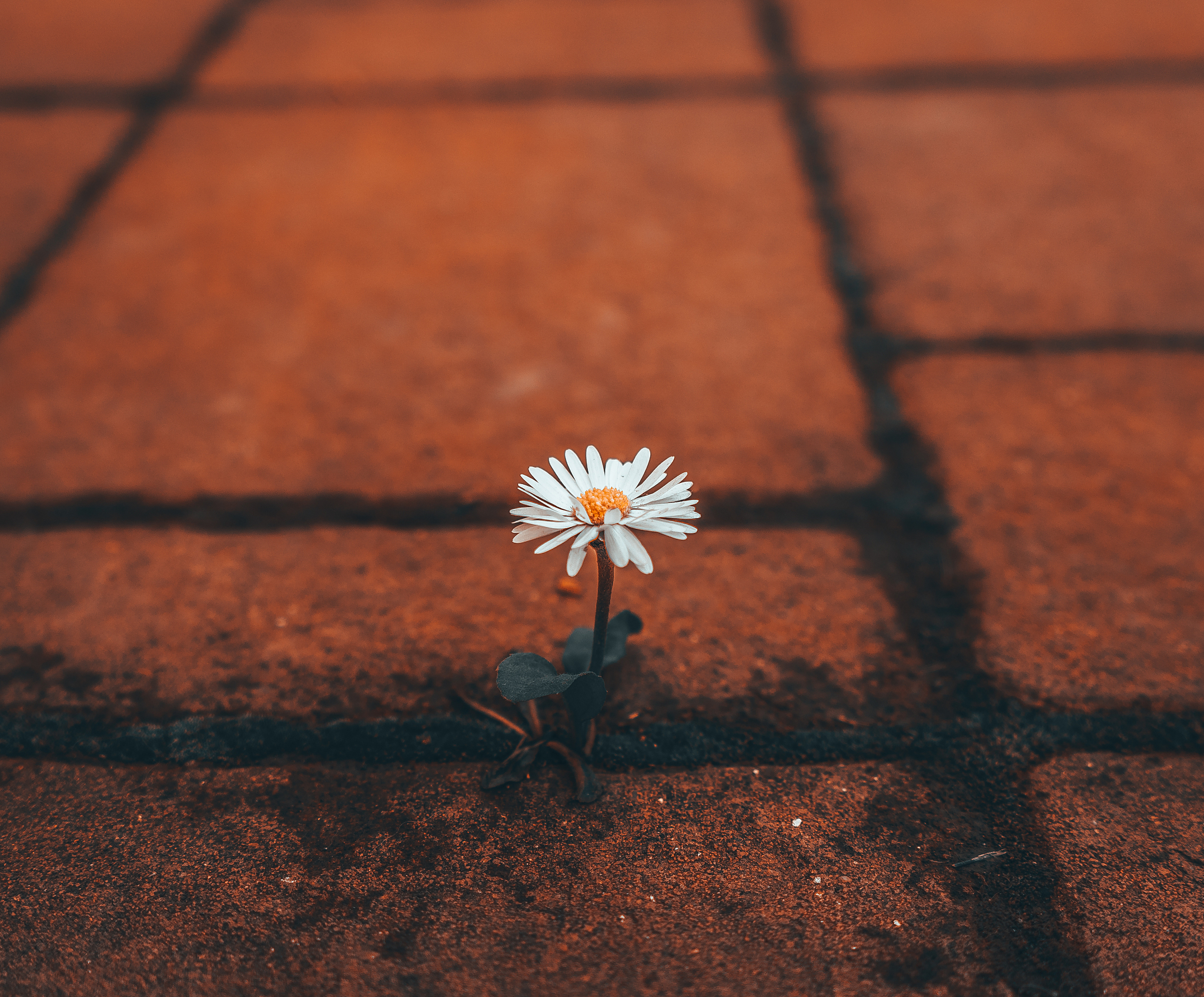 世人皆苦：哪一刻让你深切体会？