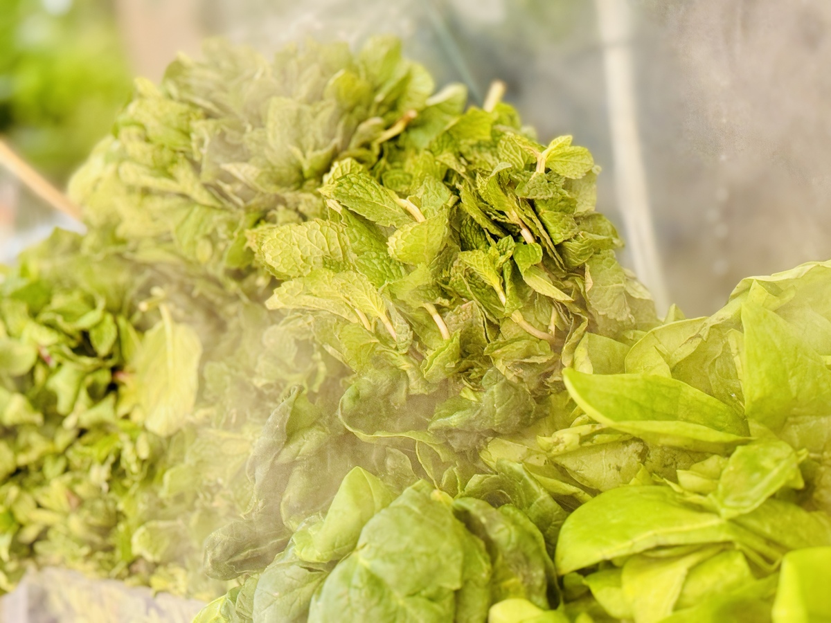 冬季必备！哪些蔬菜可以做成干菜？