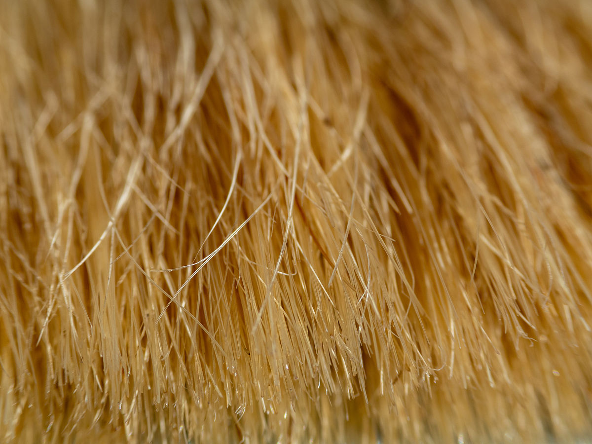 光圈在摄影中有哪些应用