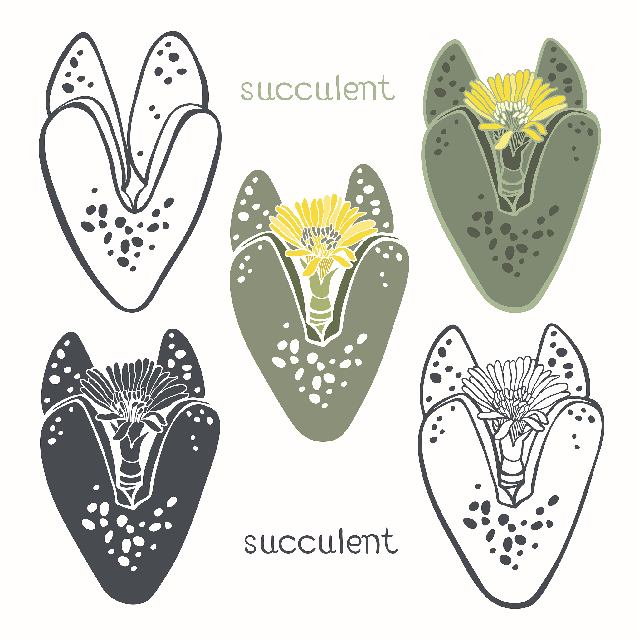 植物呼吸消耗多少能量？影响因素深度解析