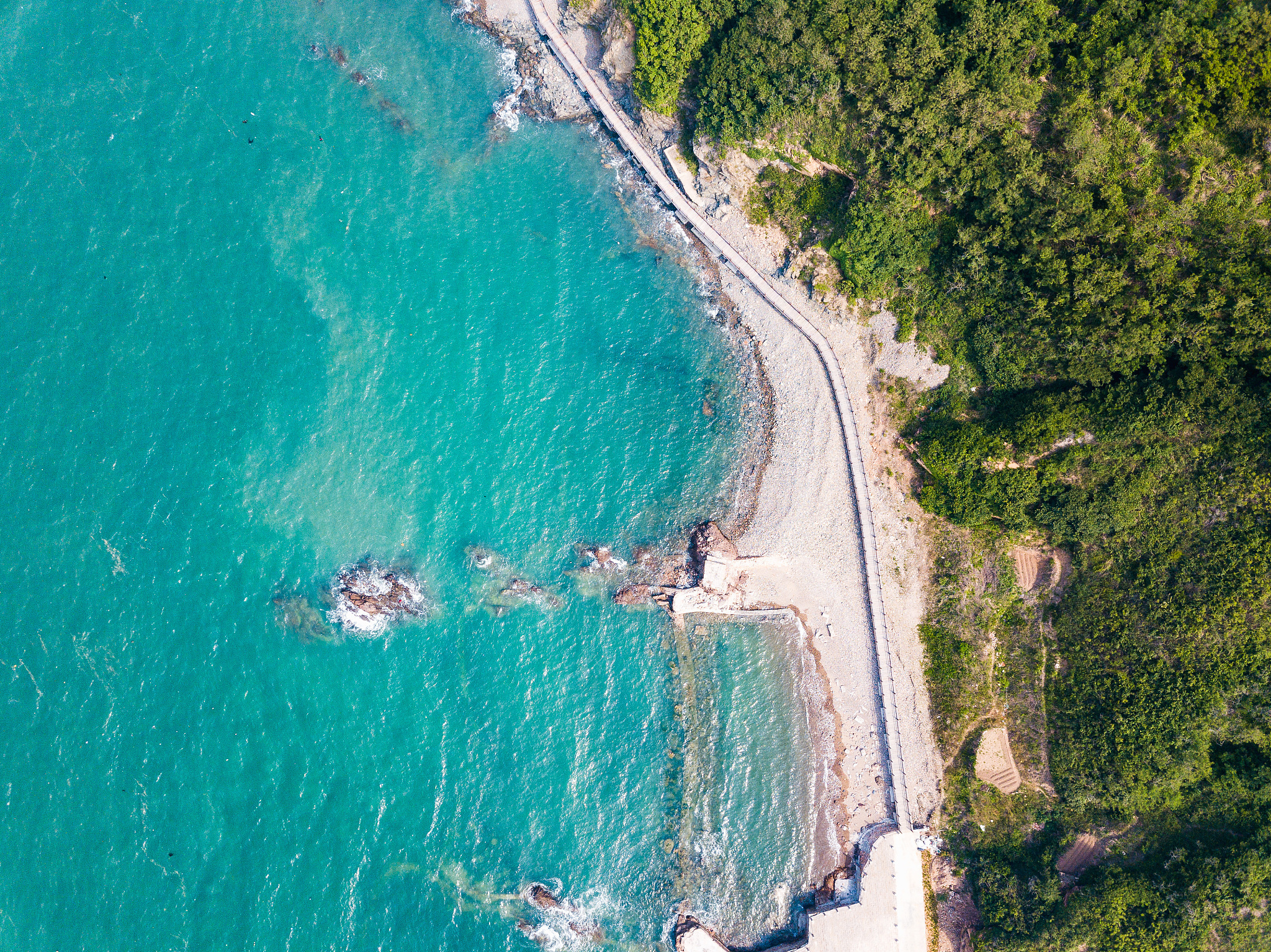 青岛的海是什么海