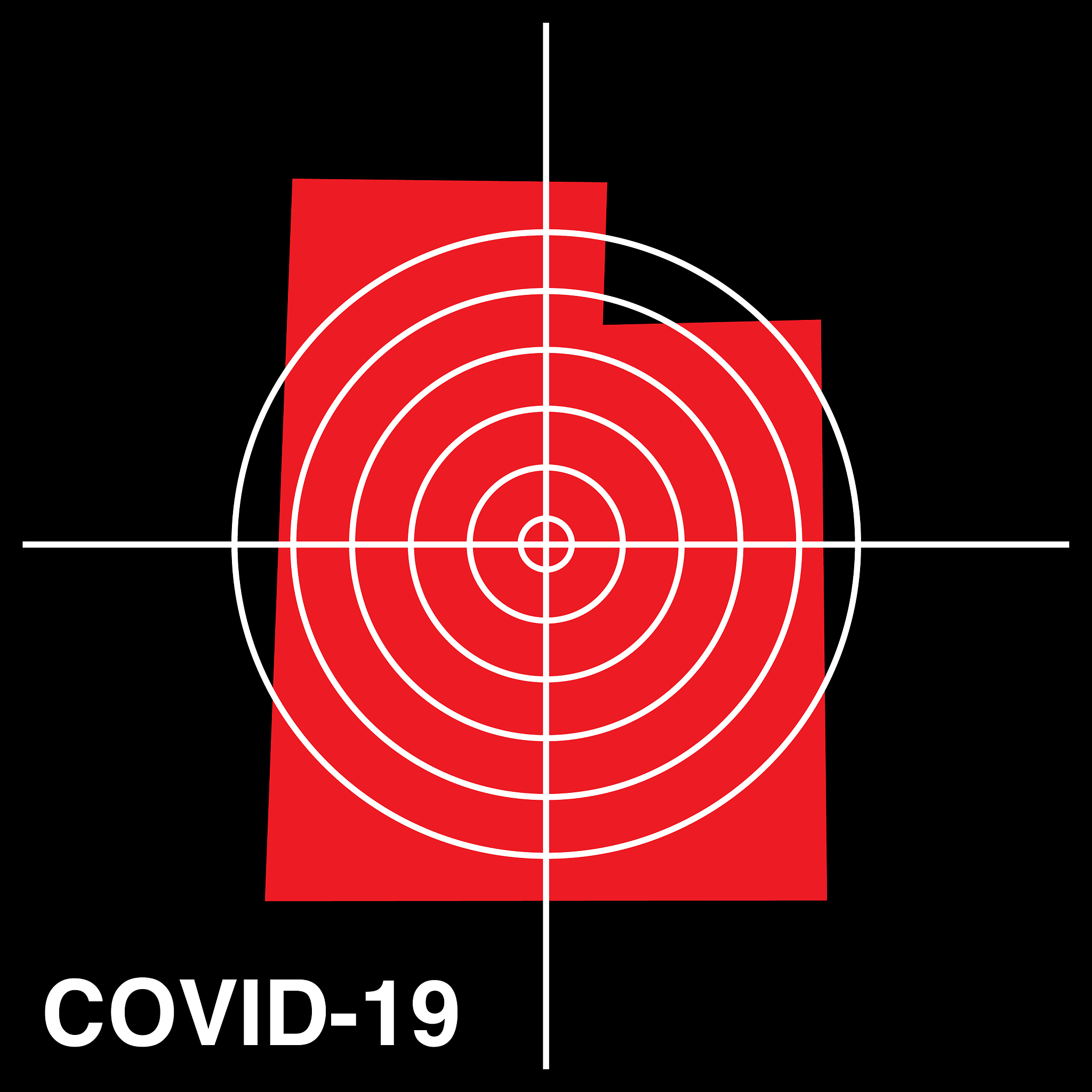 旋转磁场方向：电流、大小和地磁场的影响