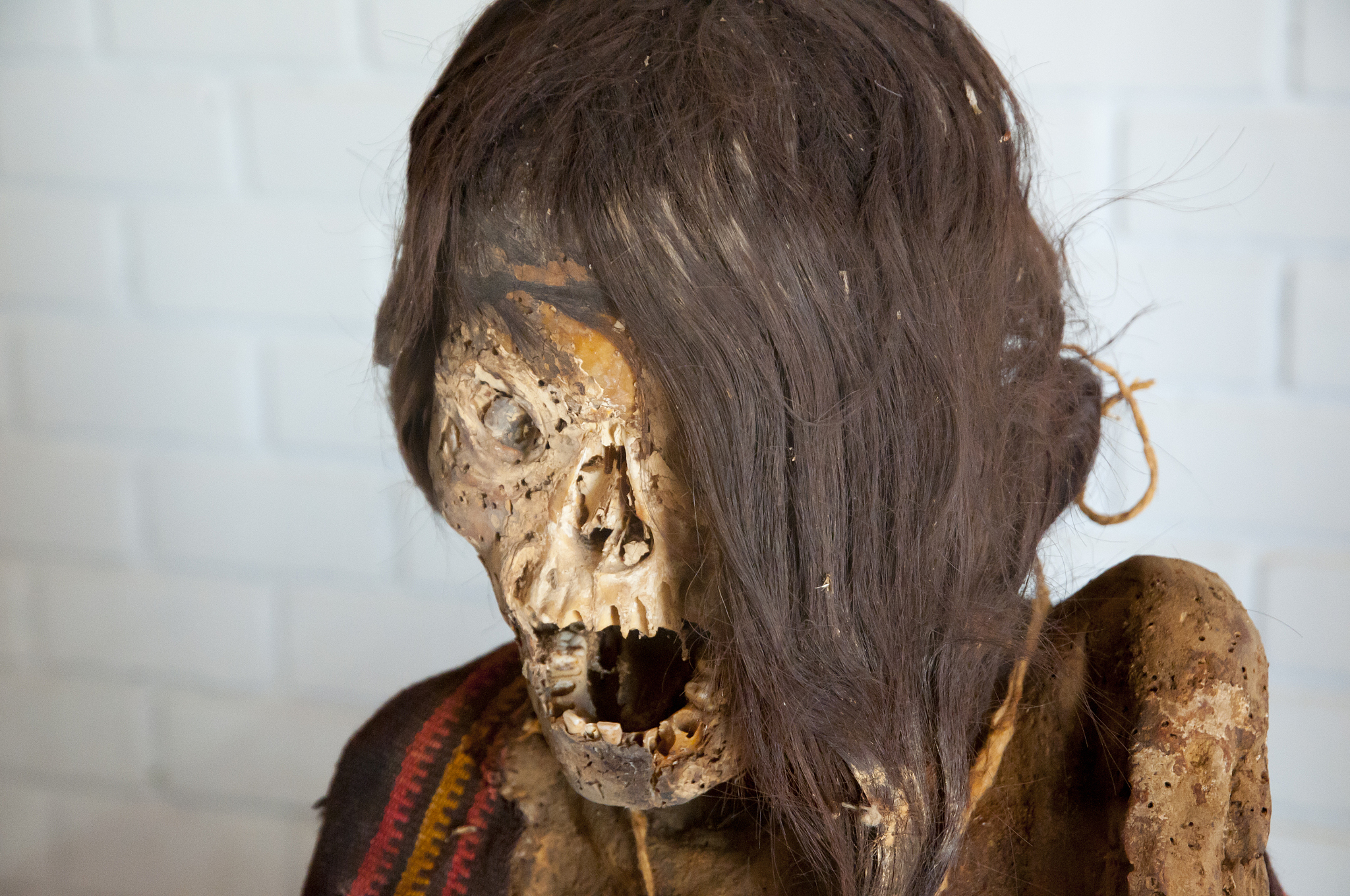 mummy