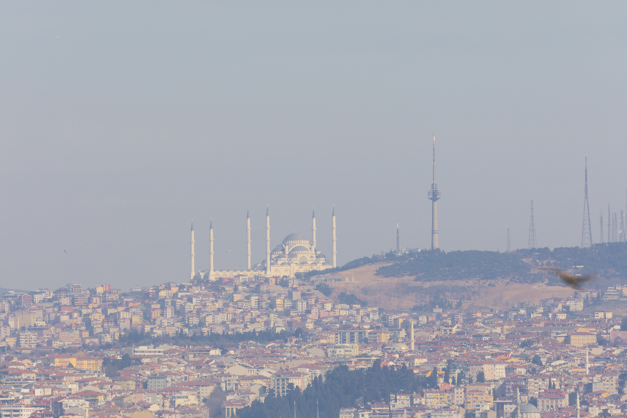 给视频添加字幕的4种简单方法