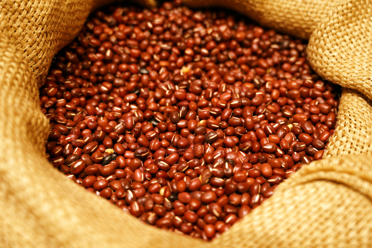 赤小豆是活血还是补血，