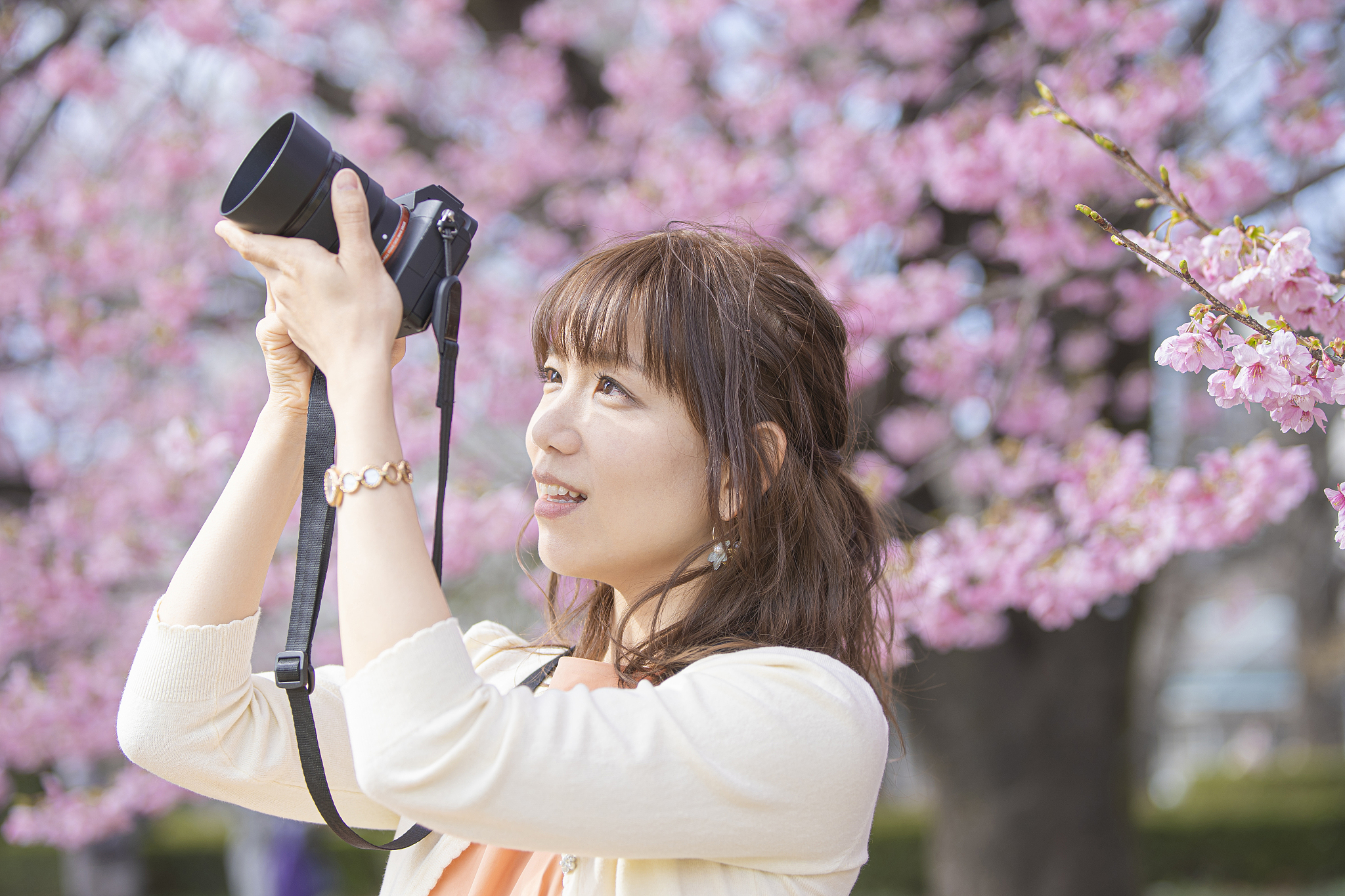 woman photographing cherry blossoms