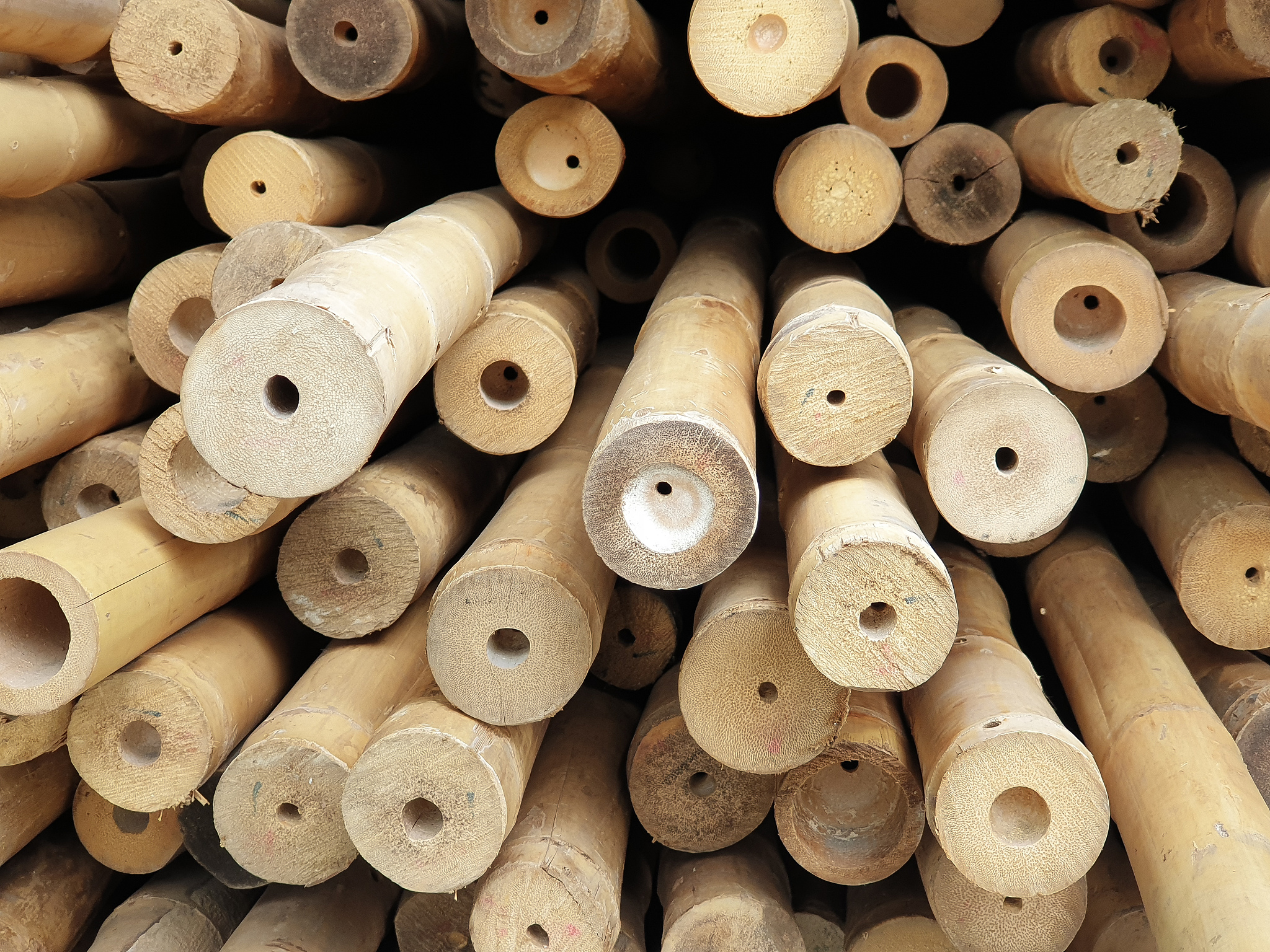 竹子颗粒厂家：优质环保燃料选择