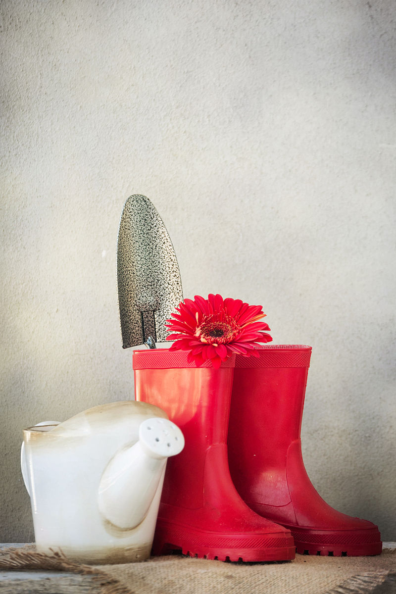 绍兴园艺学校怎么样好不好