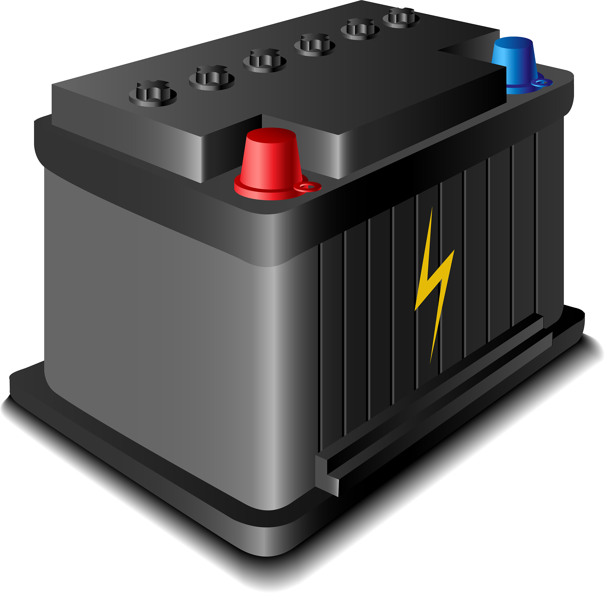 Vehicle Inspection Report: Fuel Levels and Battery Safety Switches